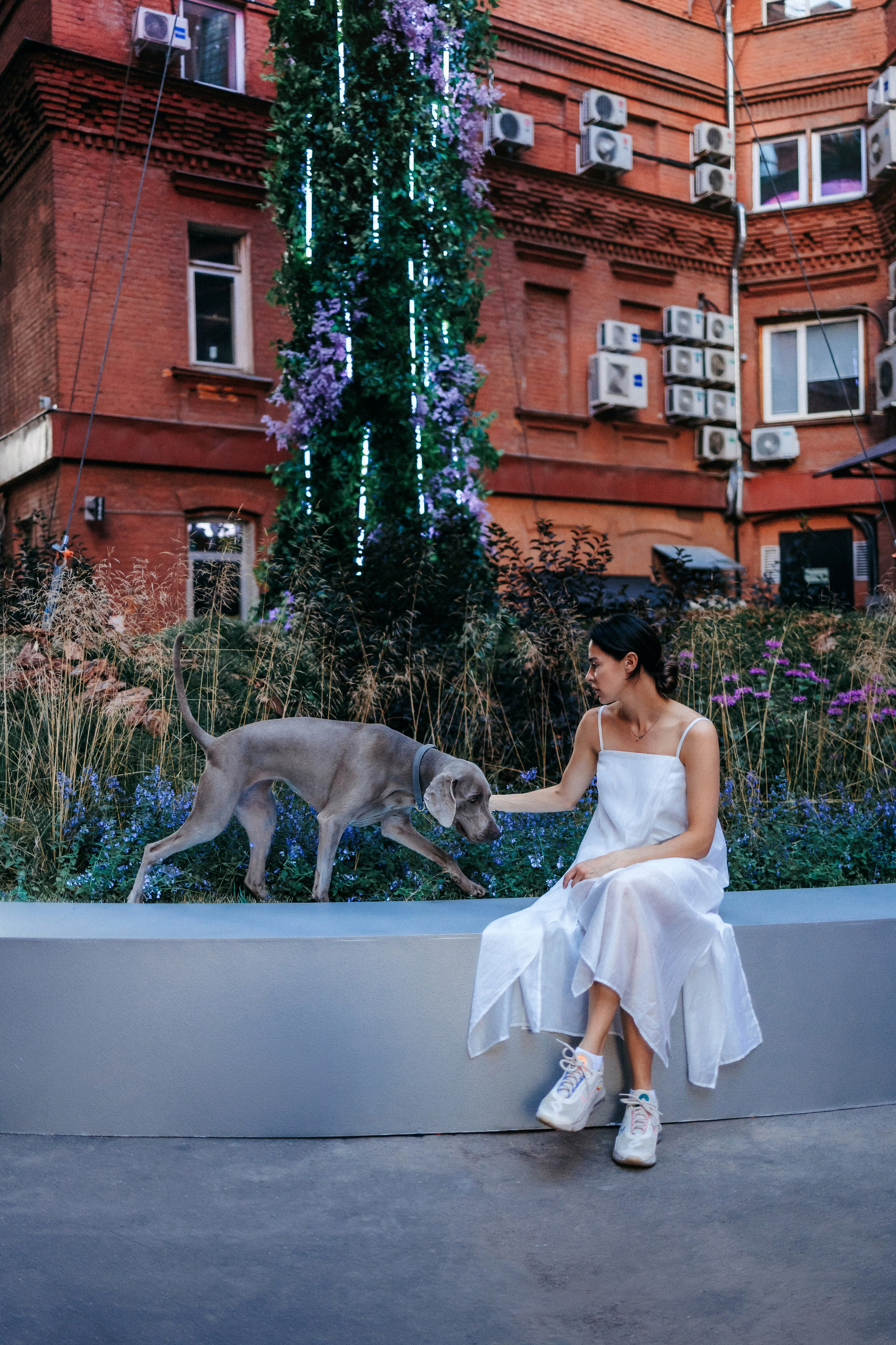 Соня и Майли. Фотограф-анималист Елена Радченко, Москва