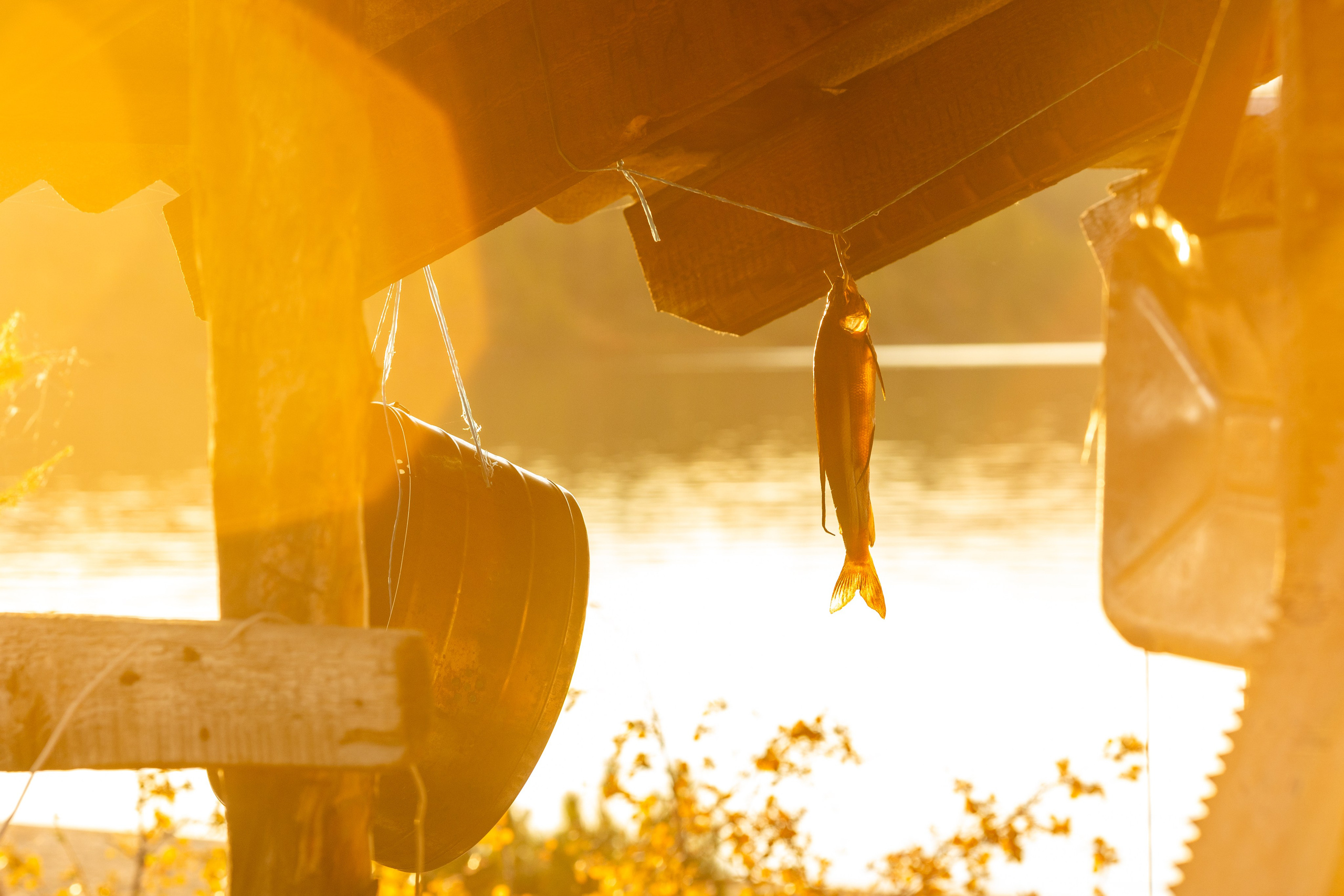 Озеро Джека Лондона. Тревел-фотограф Олег Гуров
