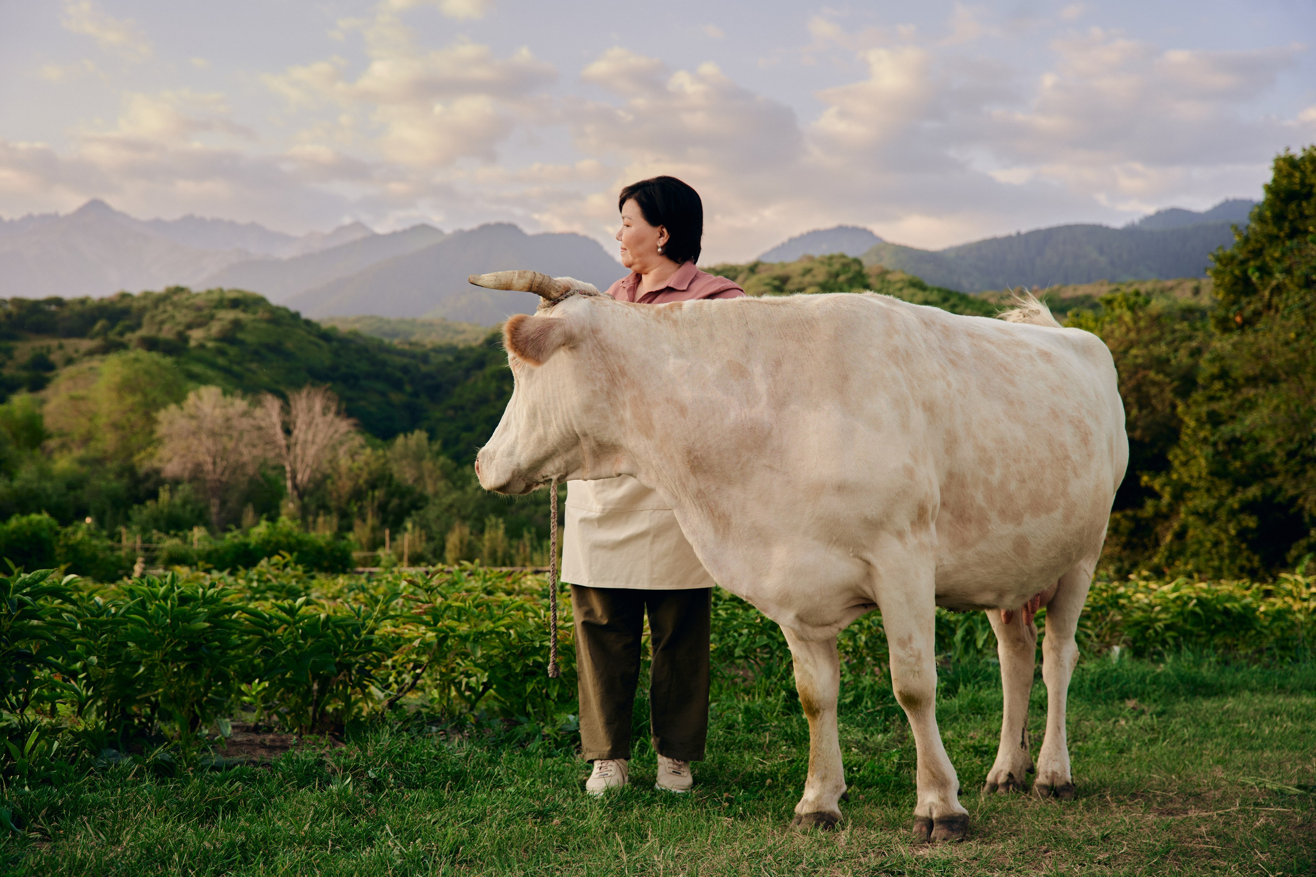 Bank Center Credit. Фотограф Москва Сергей Громов