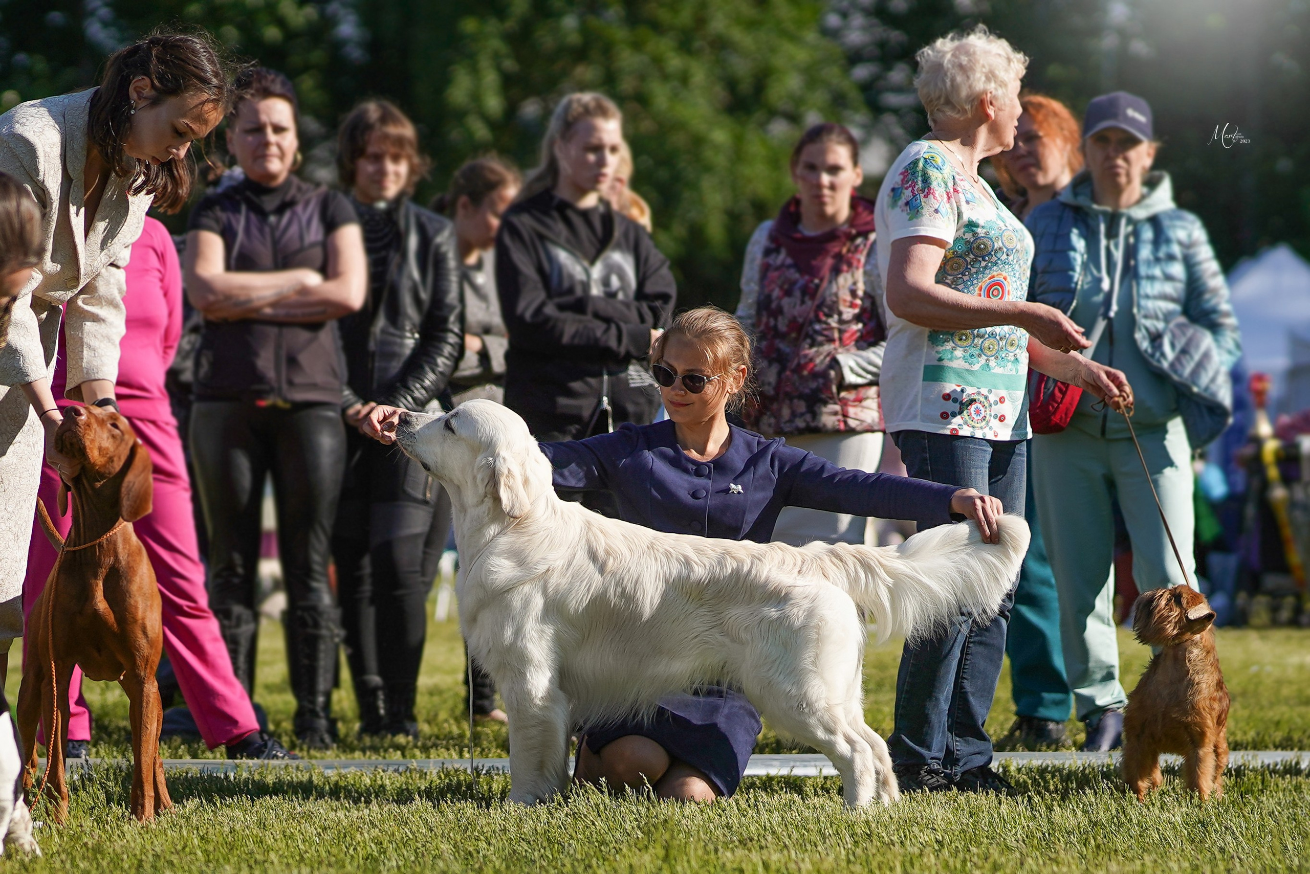 Выставки 2023. Фотограф-анималист в Санкт-Петербурге Яна Мартынова