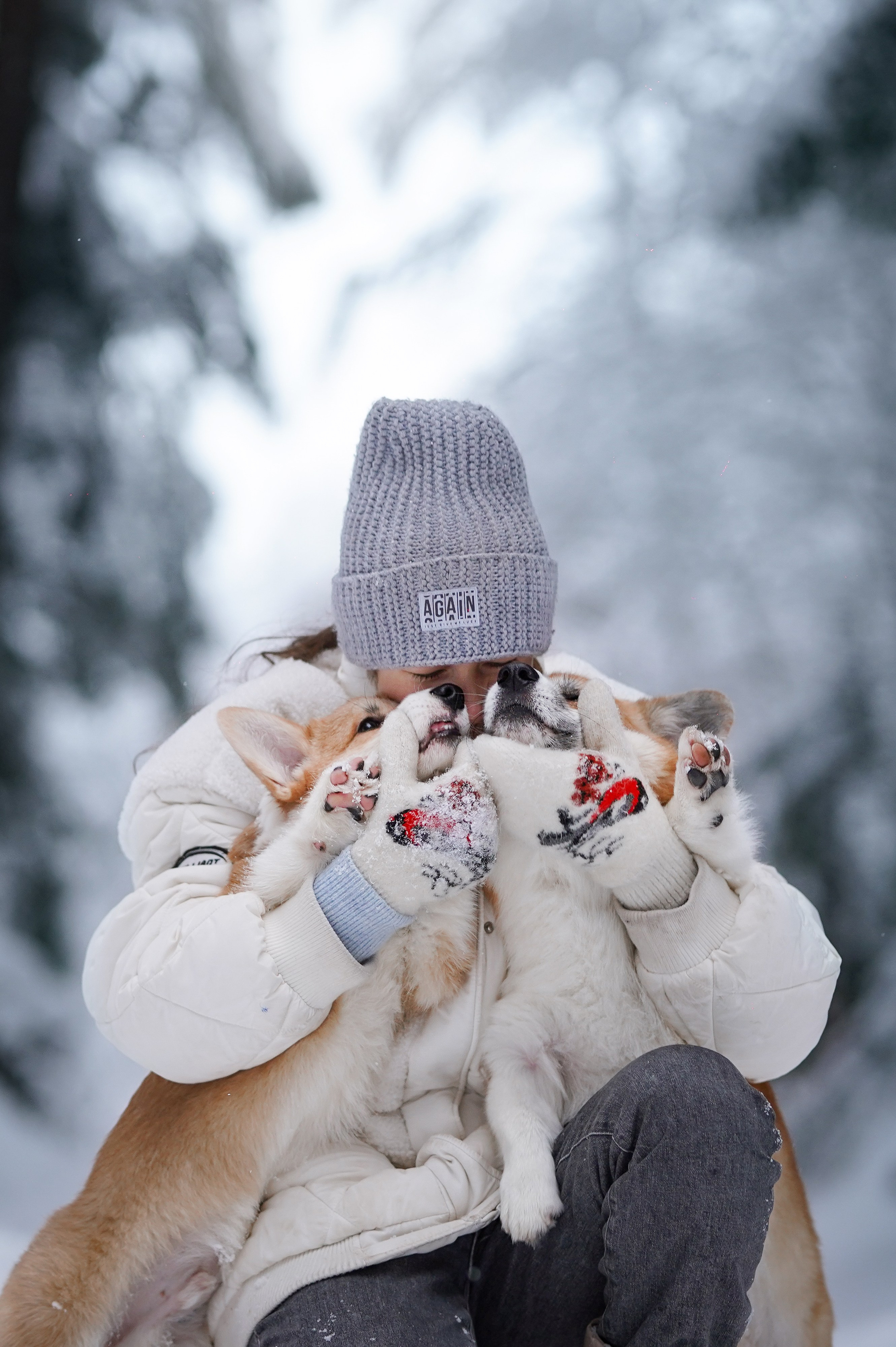 Катя Рокки и Честер. Фотограф-анималист в Санкт-Петербурге Яна Мартынова