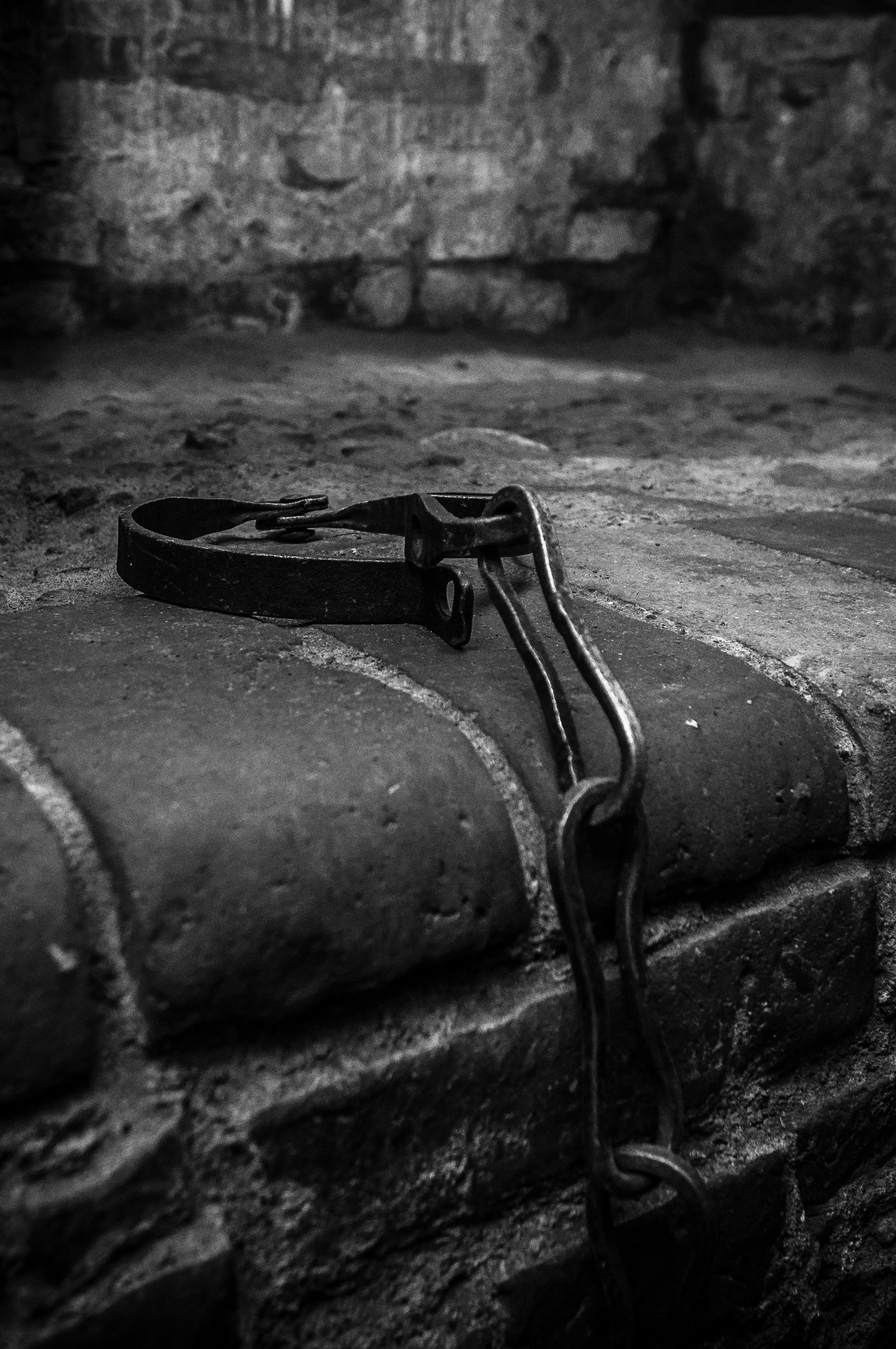 Мирский замок 2013. Фотограф Антон Швец — Монохромная реальность