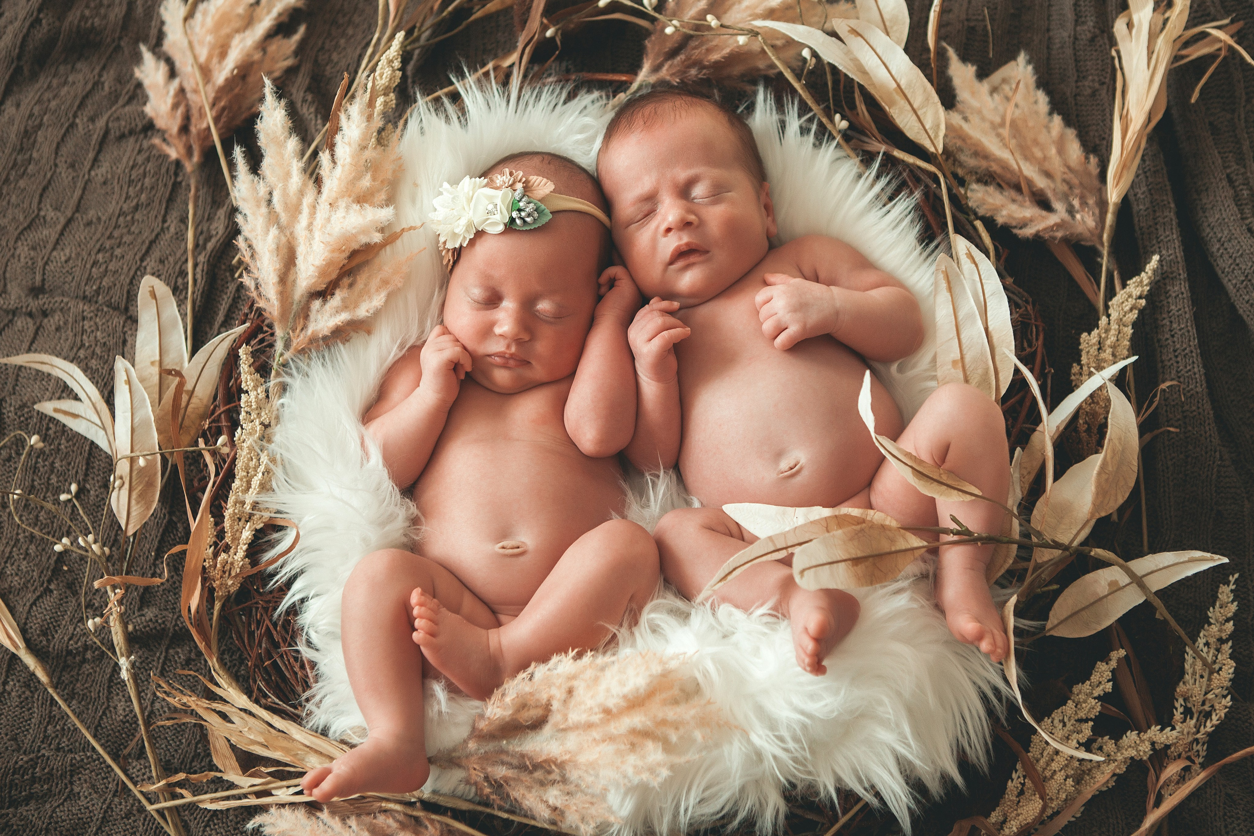 Двойняшки. Фотограф Ольга Ефремова