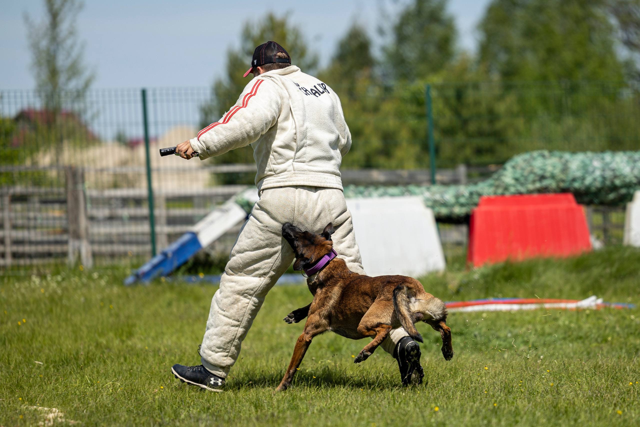 Испытания по мондьорингу в Нижнем Новгороде. Фотограф-анималист Анна Маринич