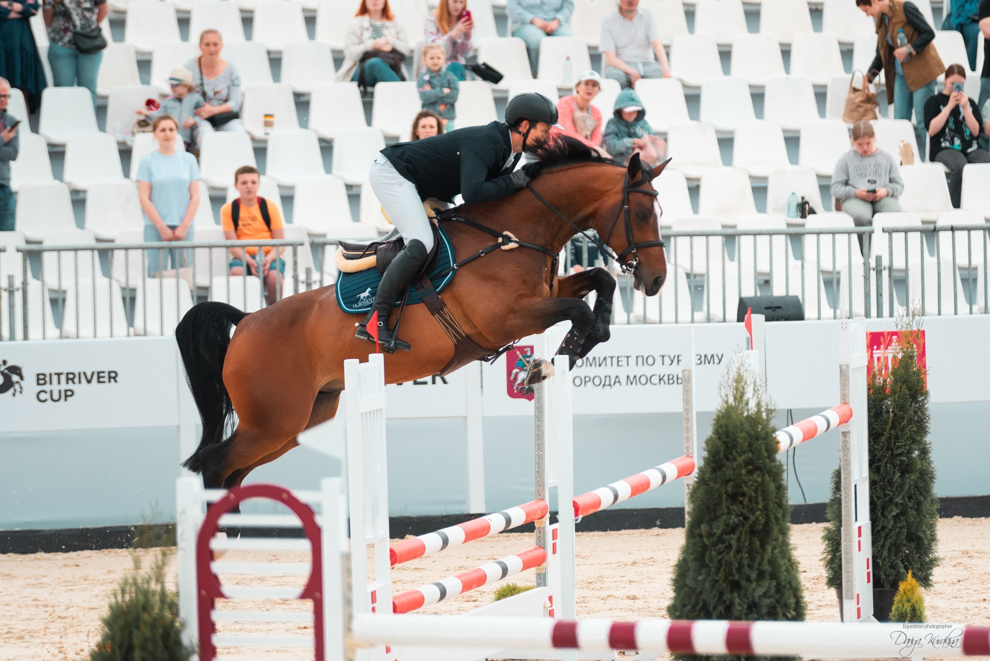 BITRIVER CUP 2023. Конный фотограф Куракина Дарья • Фотосессии с лошадьми