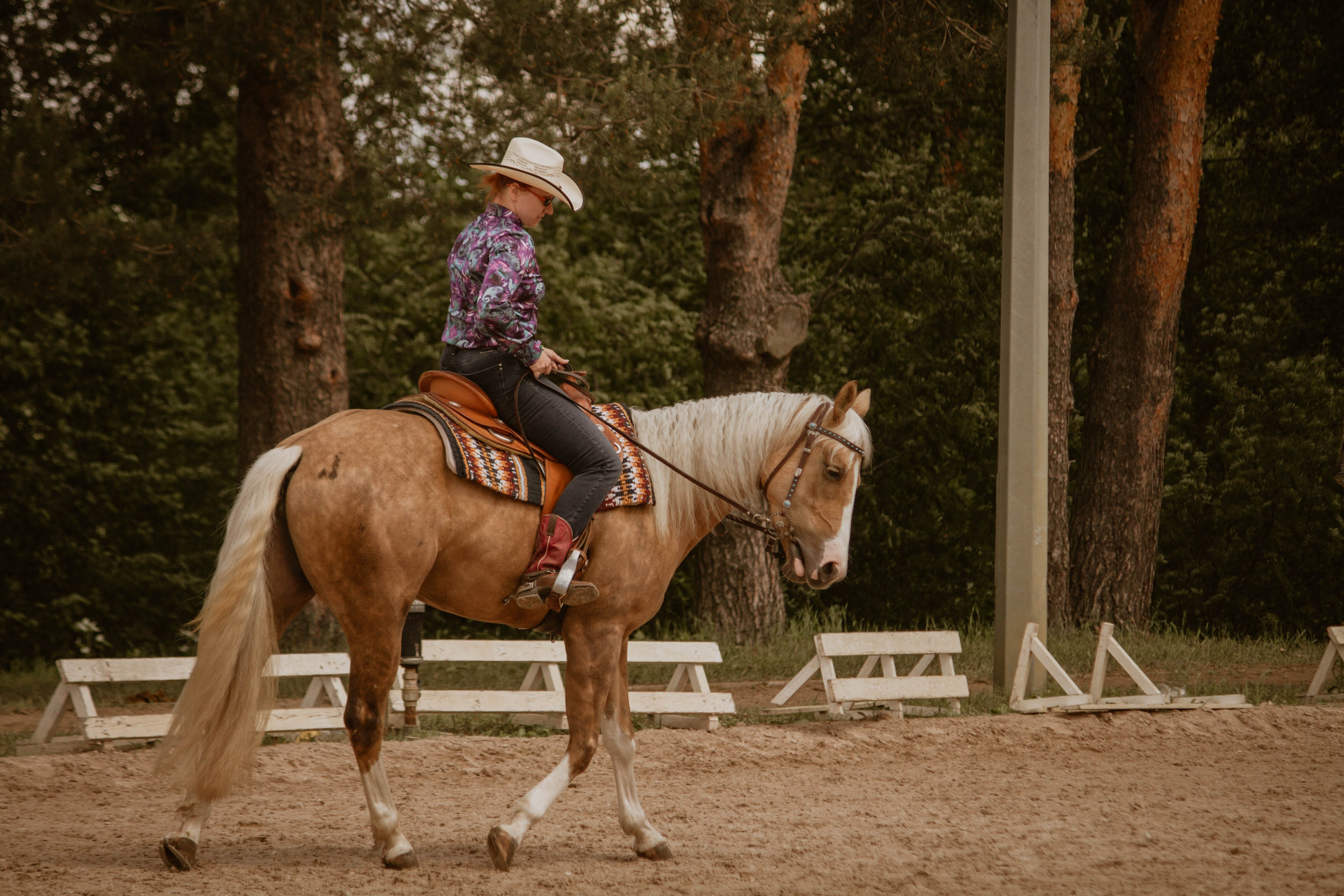 ИППОСФЕРА — Международная конная выставка. Создадим шедевр? Виталина и её фотоискусство