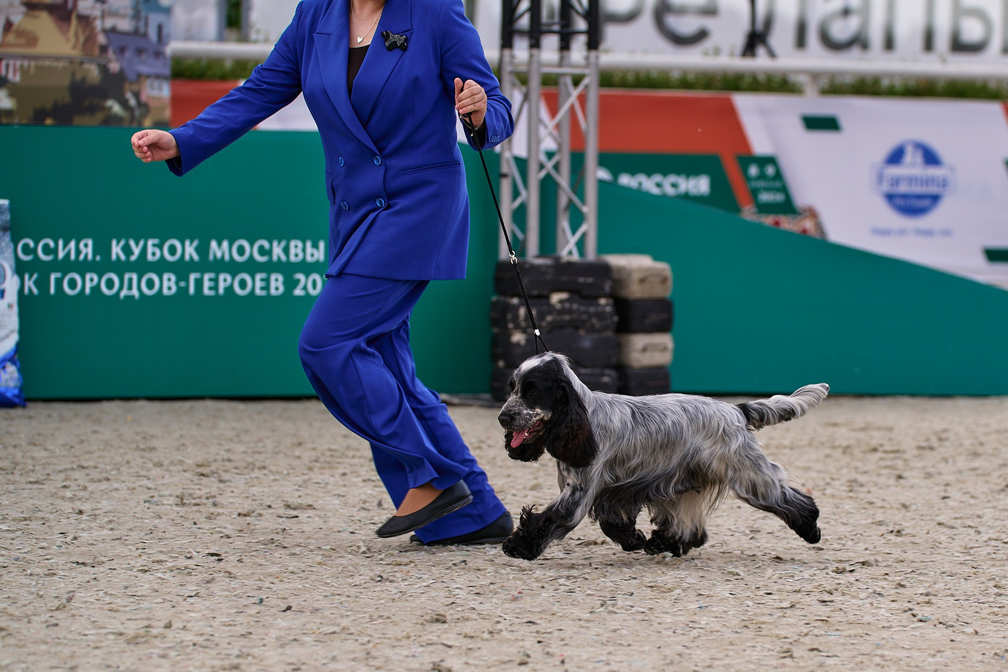 09.06.2024, «РОССИЯ. КУБОК МОСКВЫ 2024 & КУБОК ГОРОДОВ-ГЕРОЕВ»