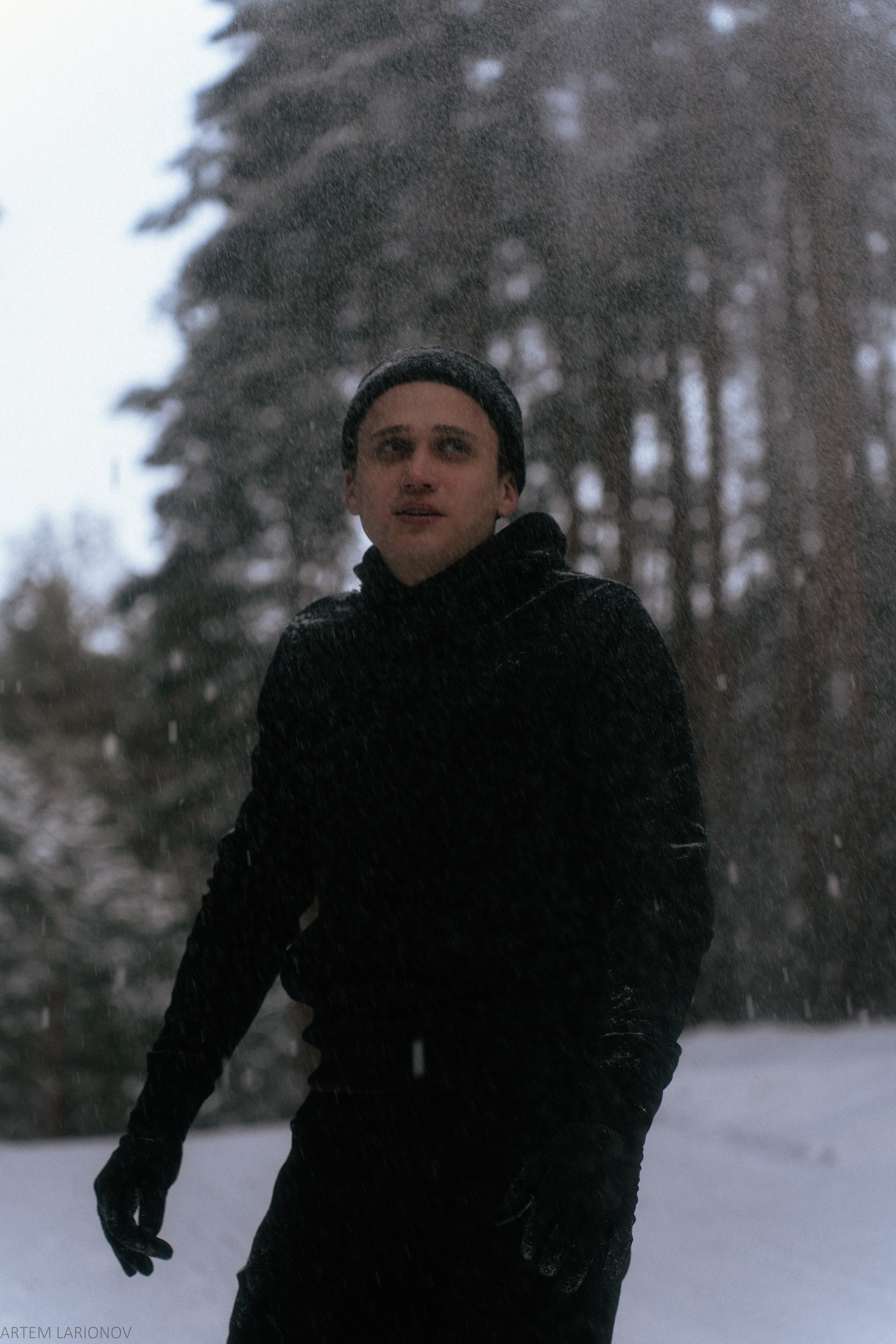 Снежный лес. Фотограф Артем Ларионов