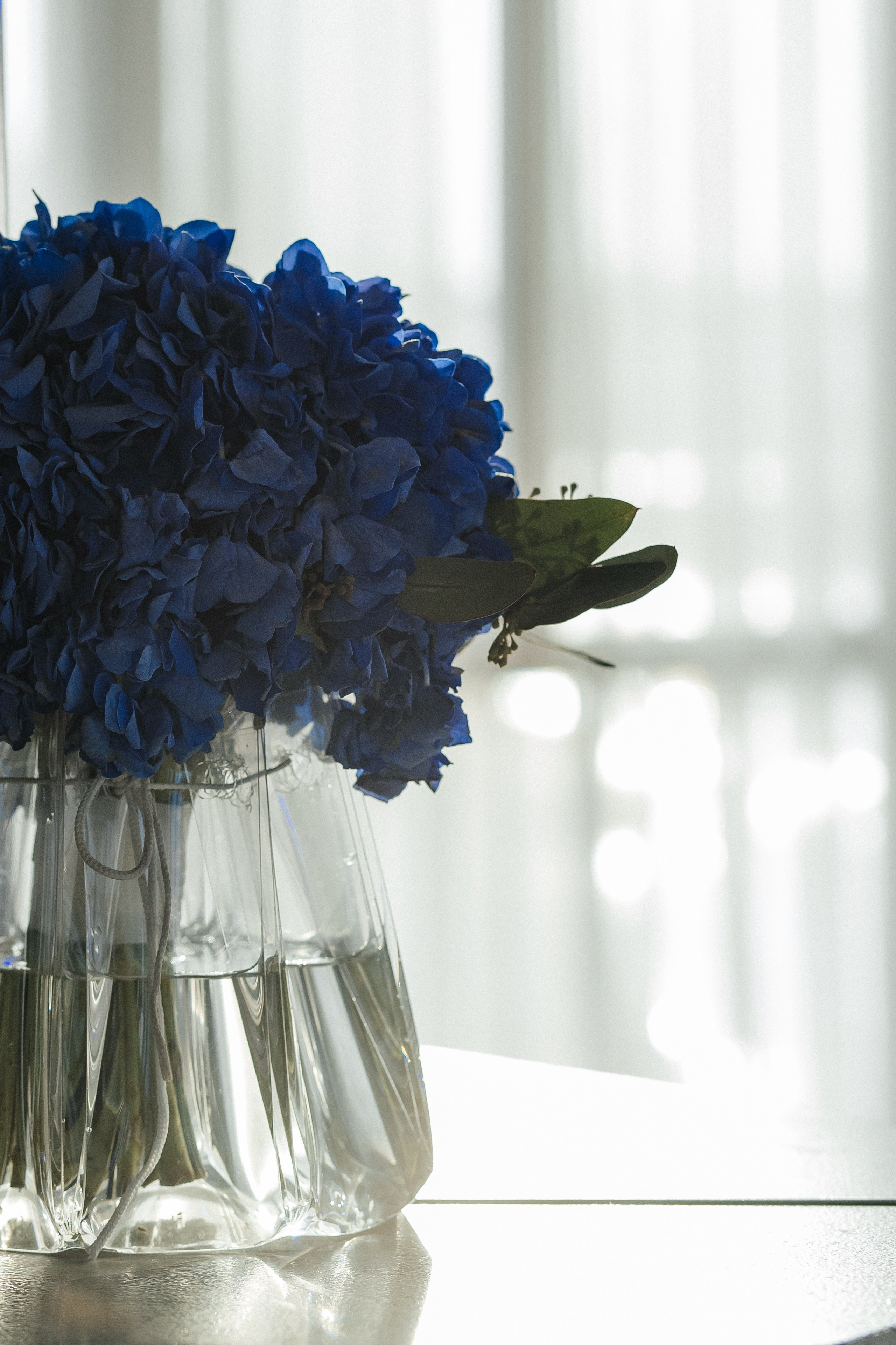 Валериан и Алина. Фотограф в Томске Ирина Павлуцкая