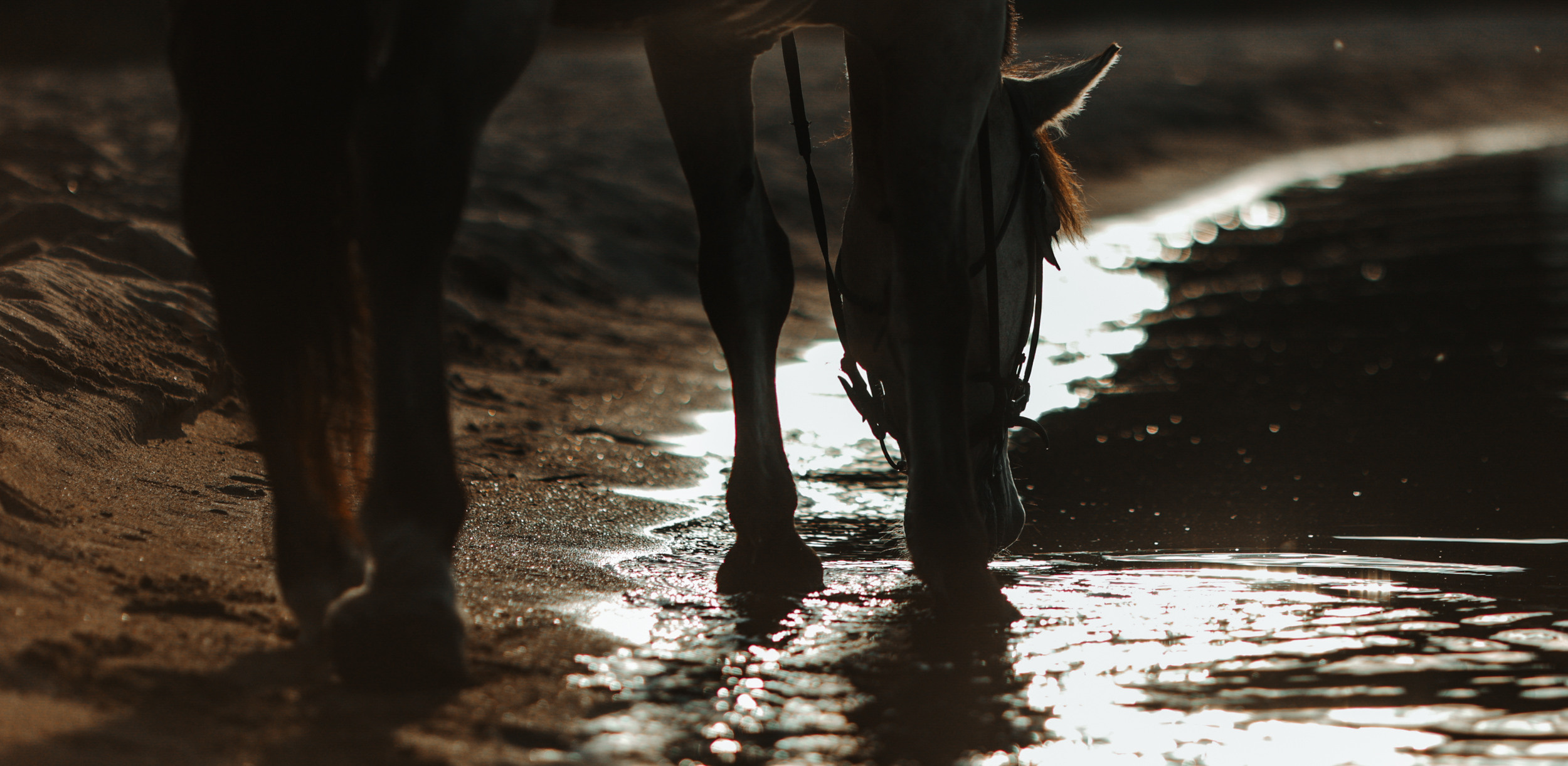 Отзывы. Фотограф Варвара Ермоленко