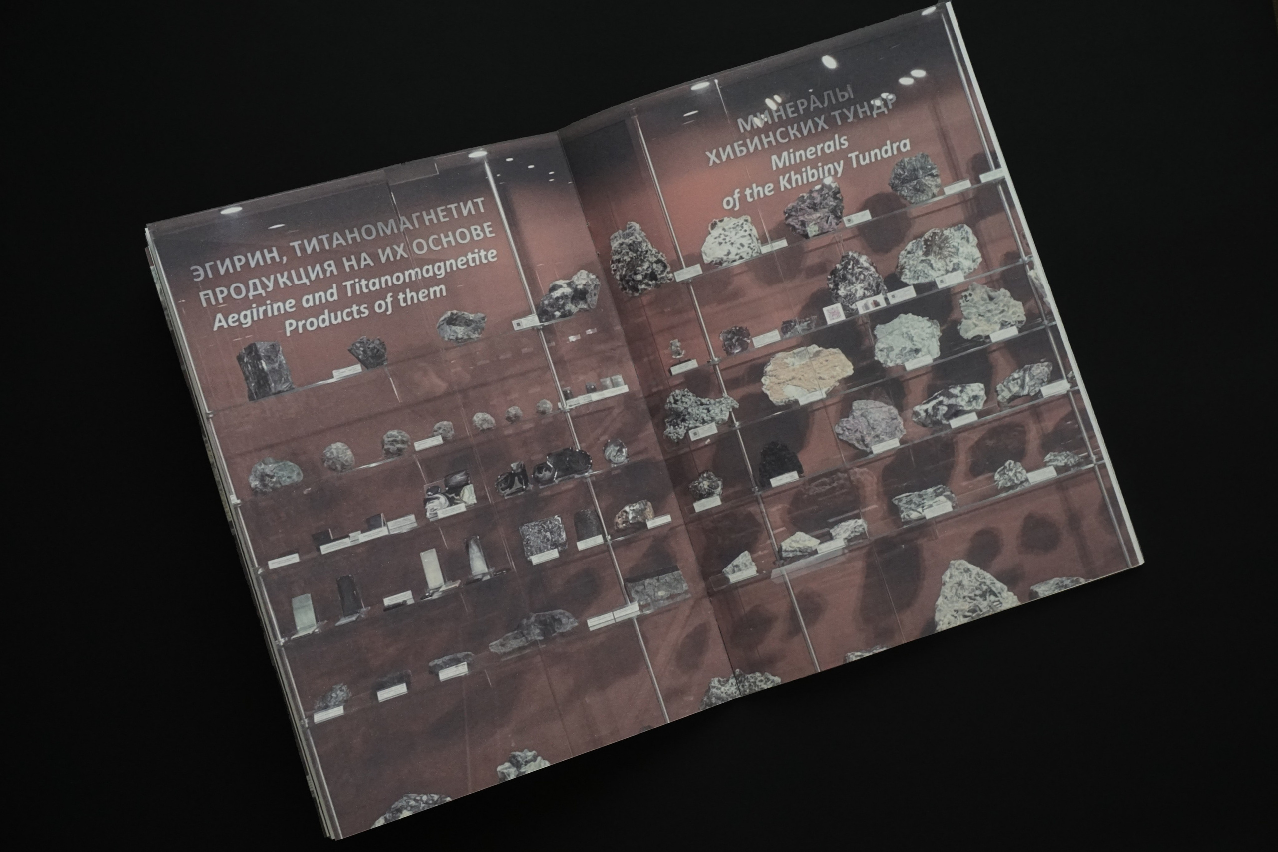 Overview. Anastasia Maryasova