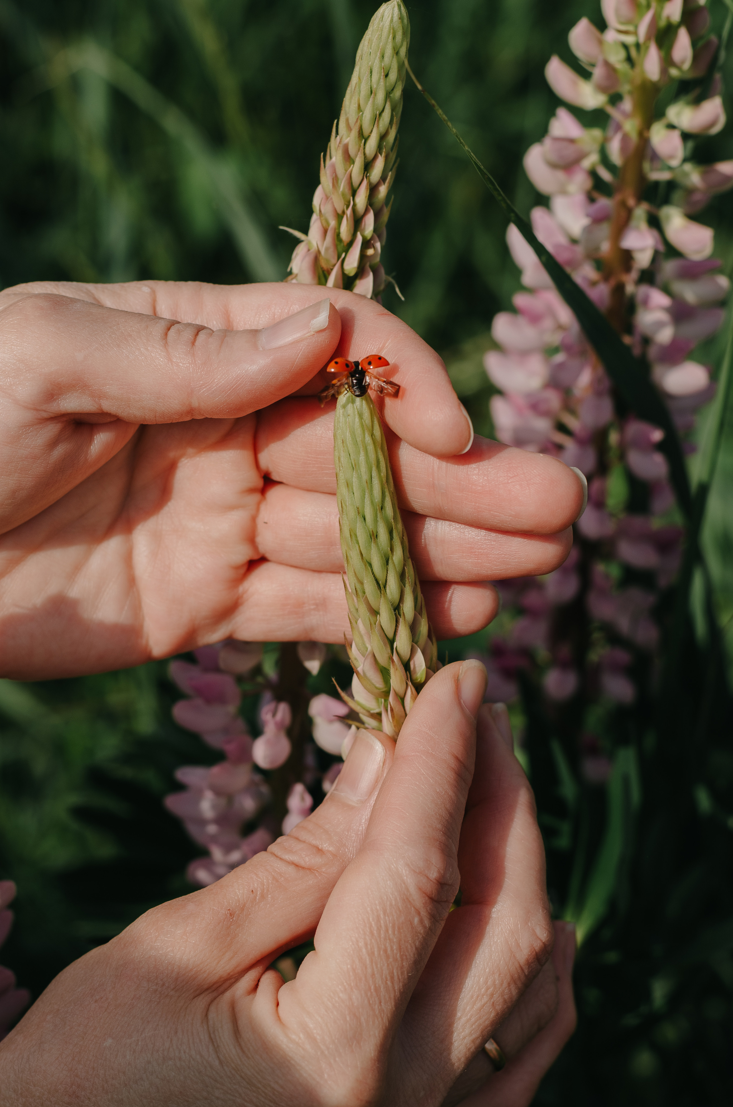 Анна. Фотограф про жизнь. Сергиев Посад, Мск