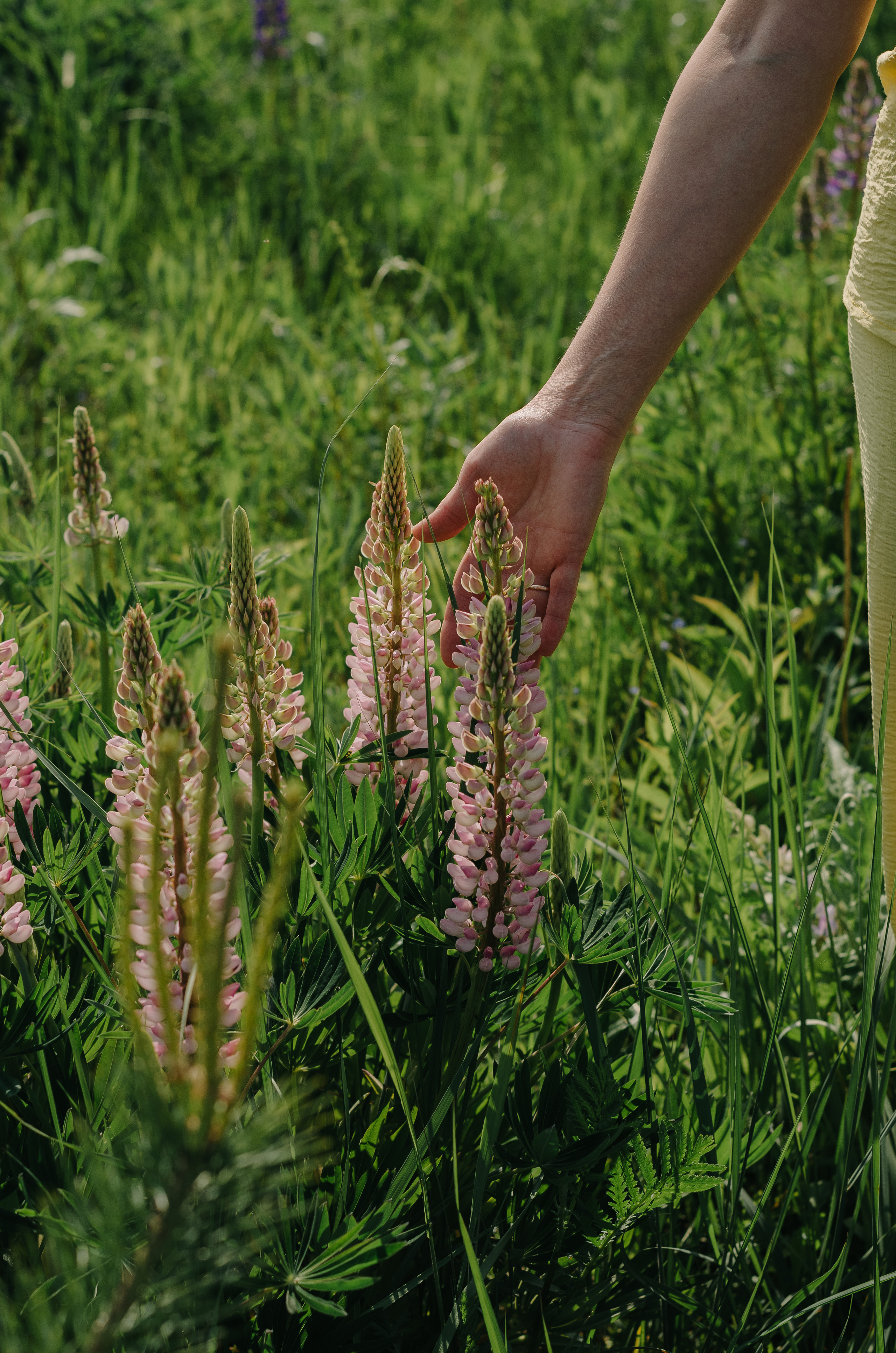 Анна. Фотограф про жизнь. Сергиев Посад, Мск