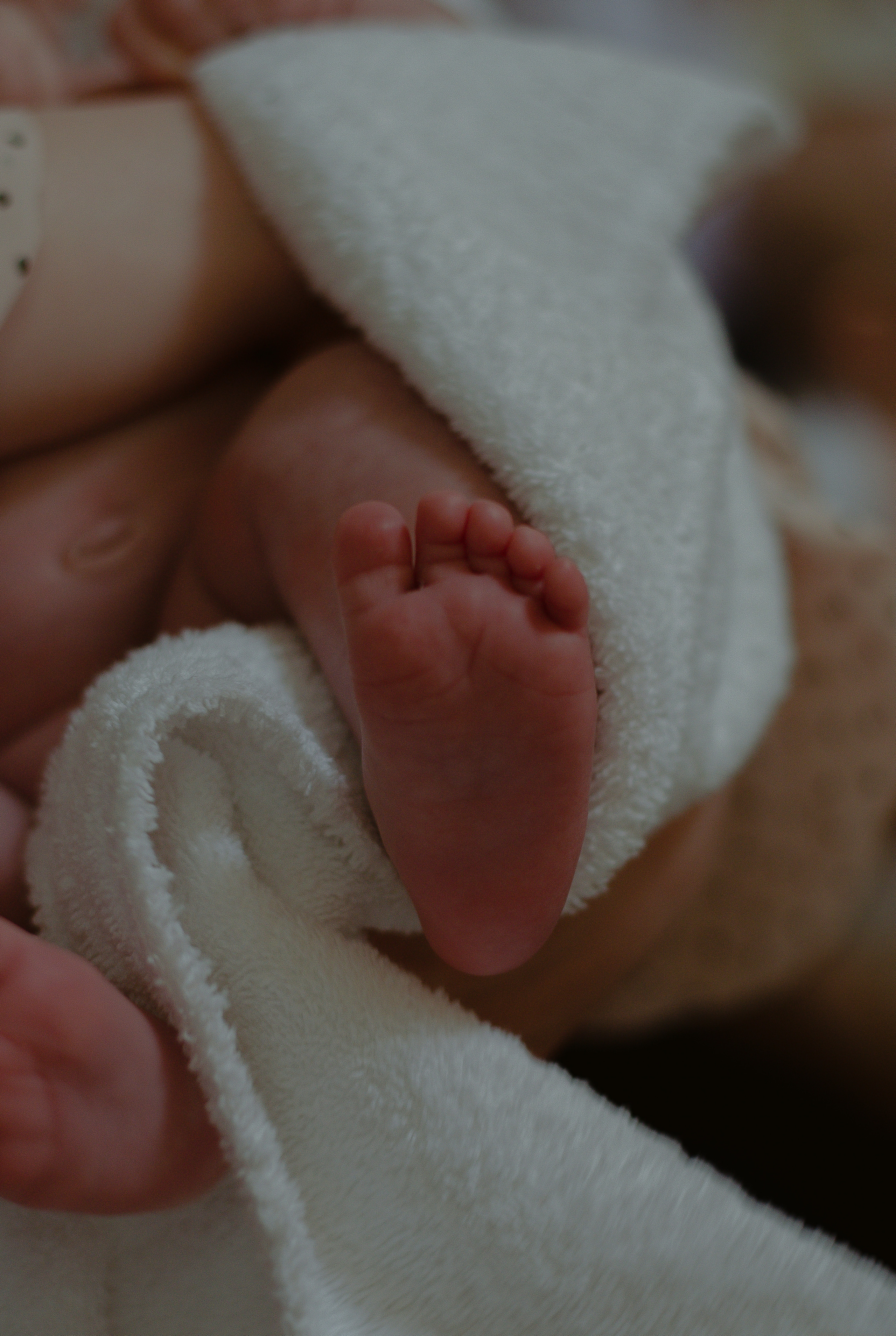 Артём. Фотограф про жизнь. Сергиев Посад, Мск