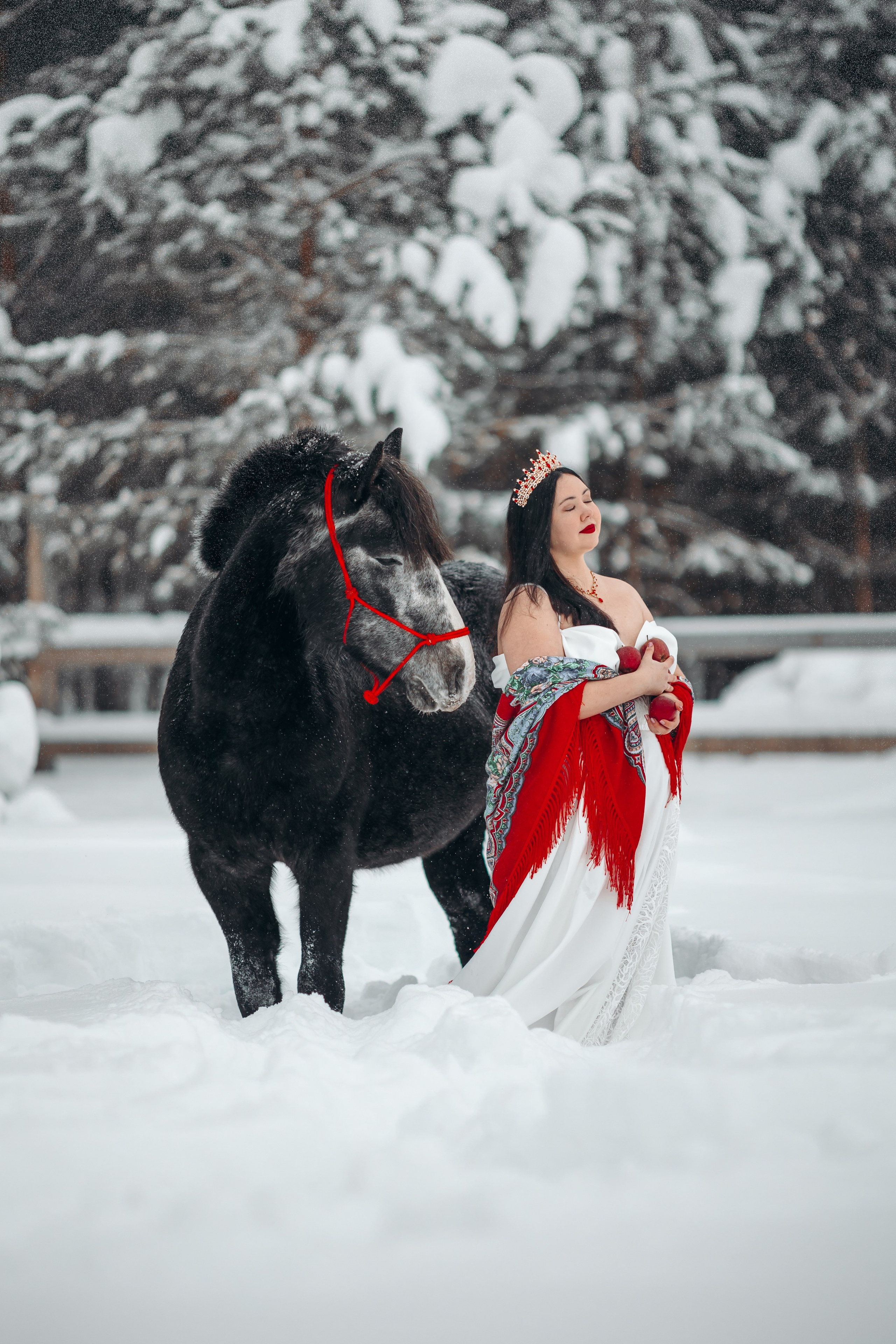 Яблоки на снегу. Анна Молчанова конный фотограф в Тюмени | фотосессии с лошадьми Тюмень