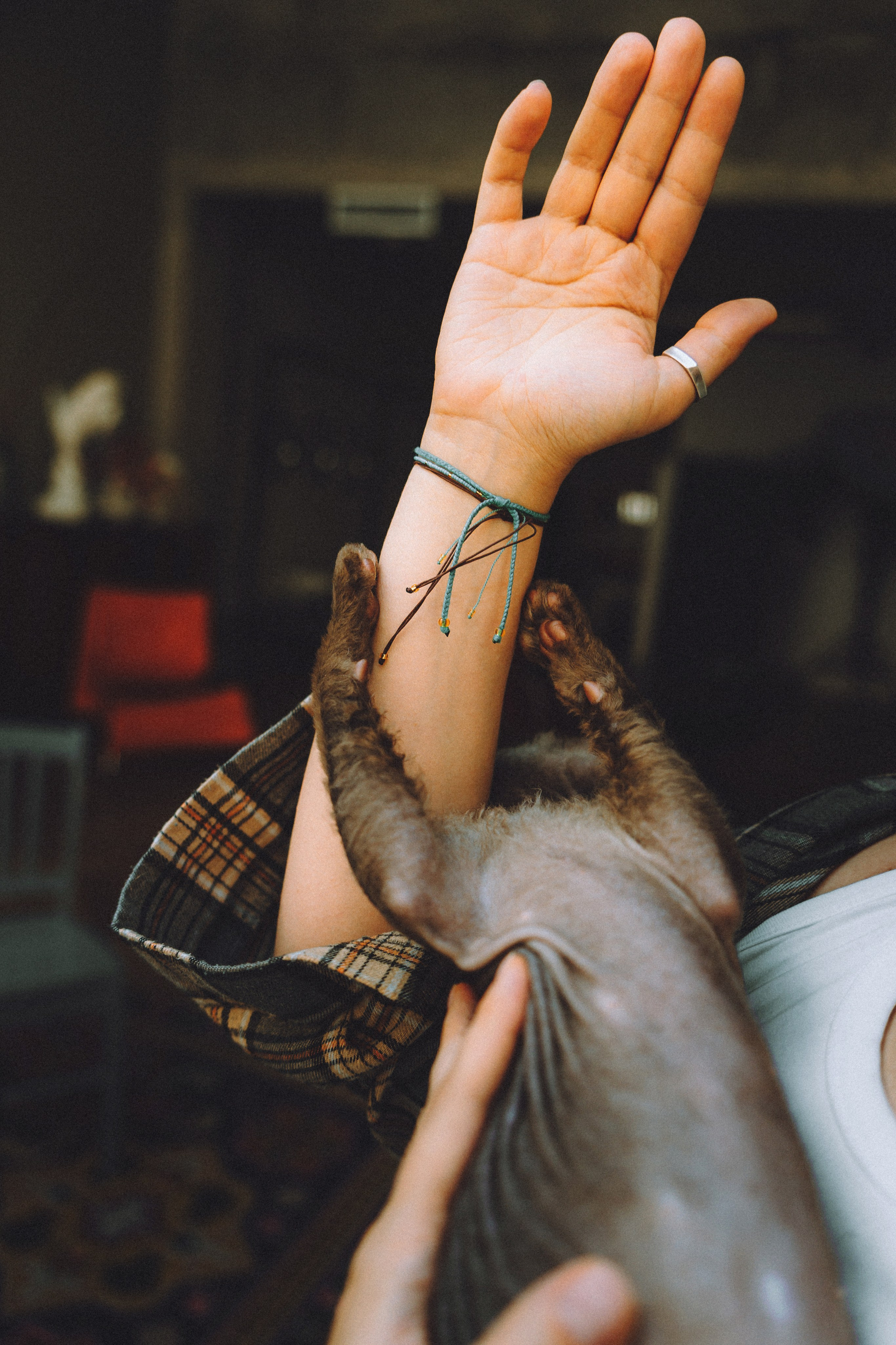 Кокос, Света, Динара и Вилли