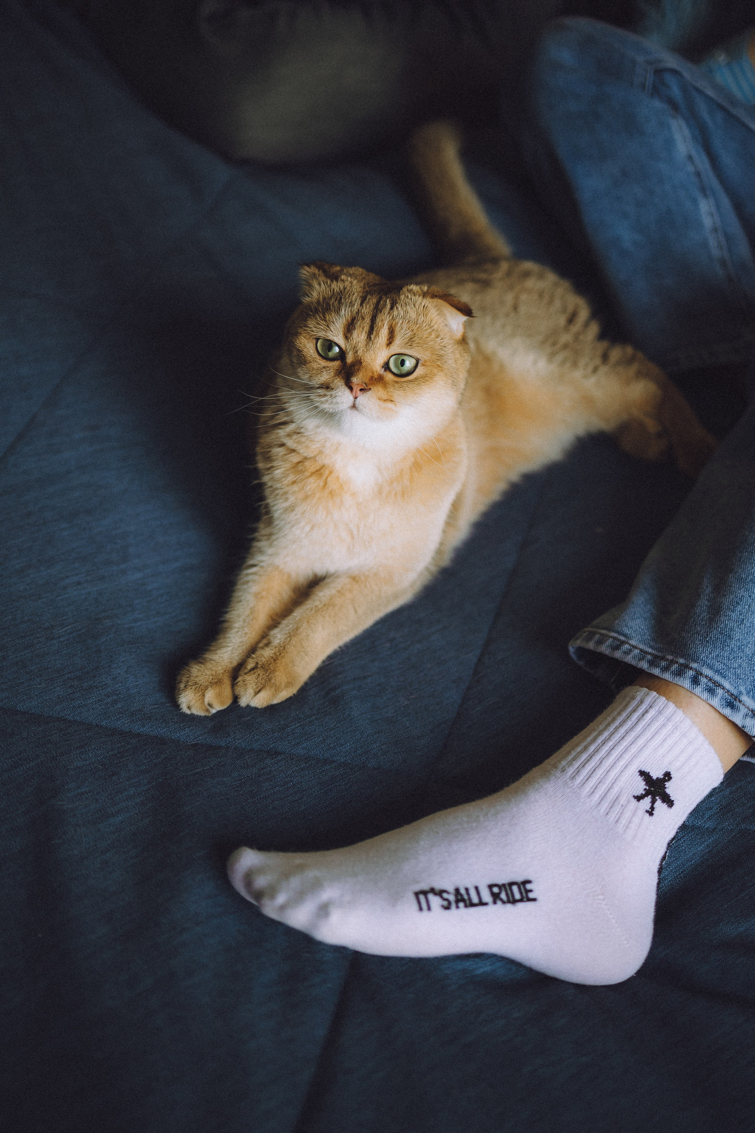 Генри и его семья