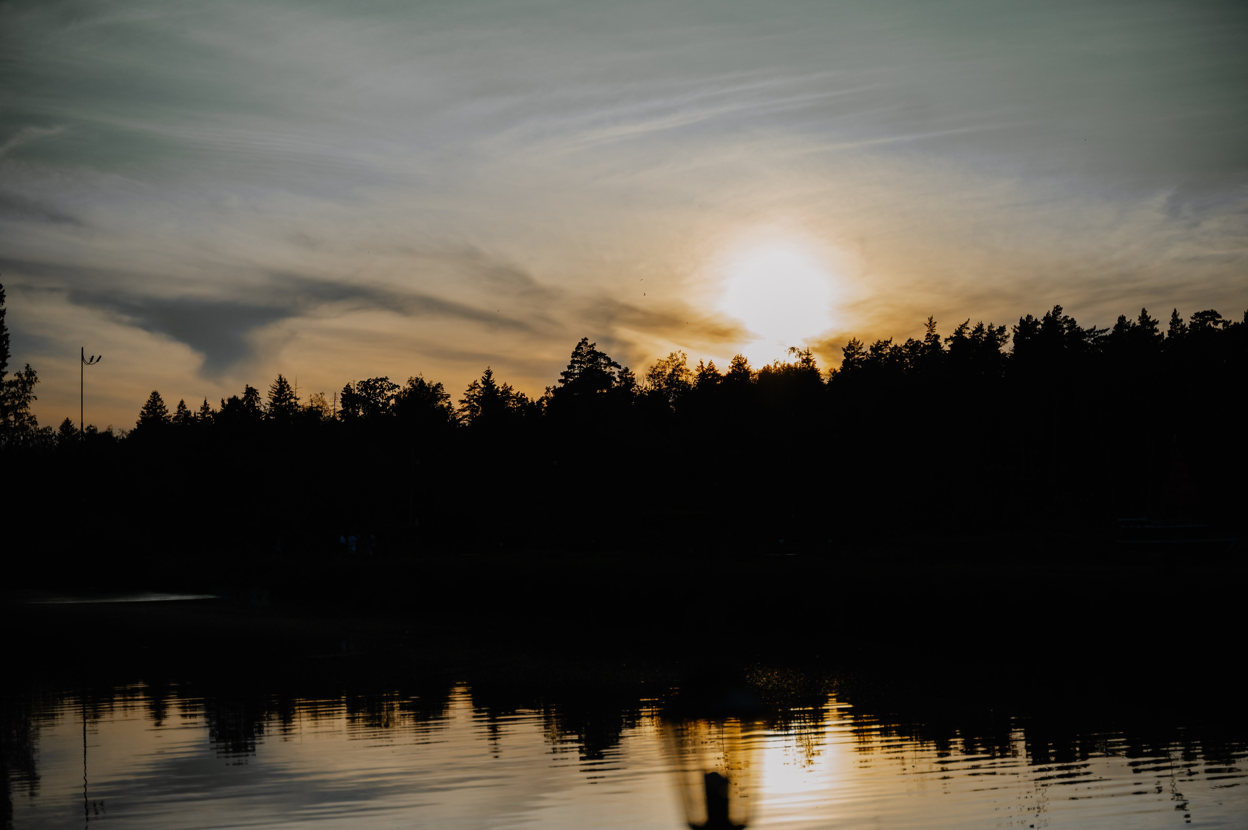 Женя|Аня. Свадебный и портретный фотограф Анастасия Тетёркина, Брянск и Санкт-Петербург