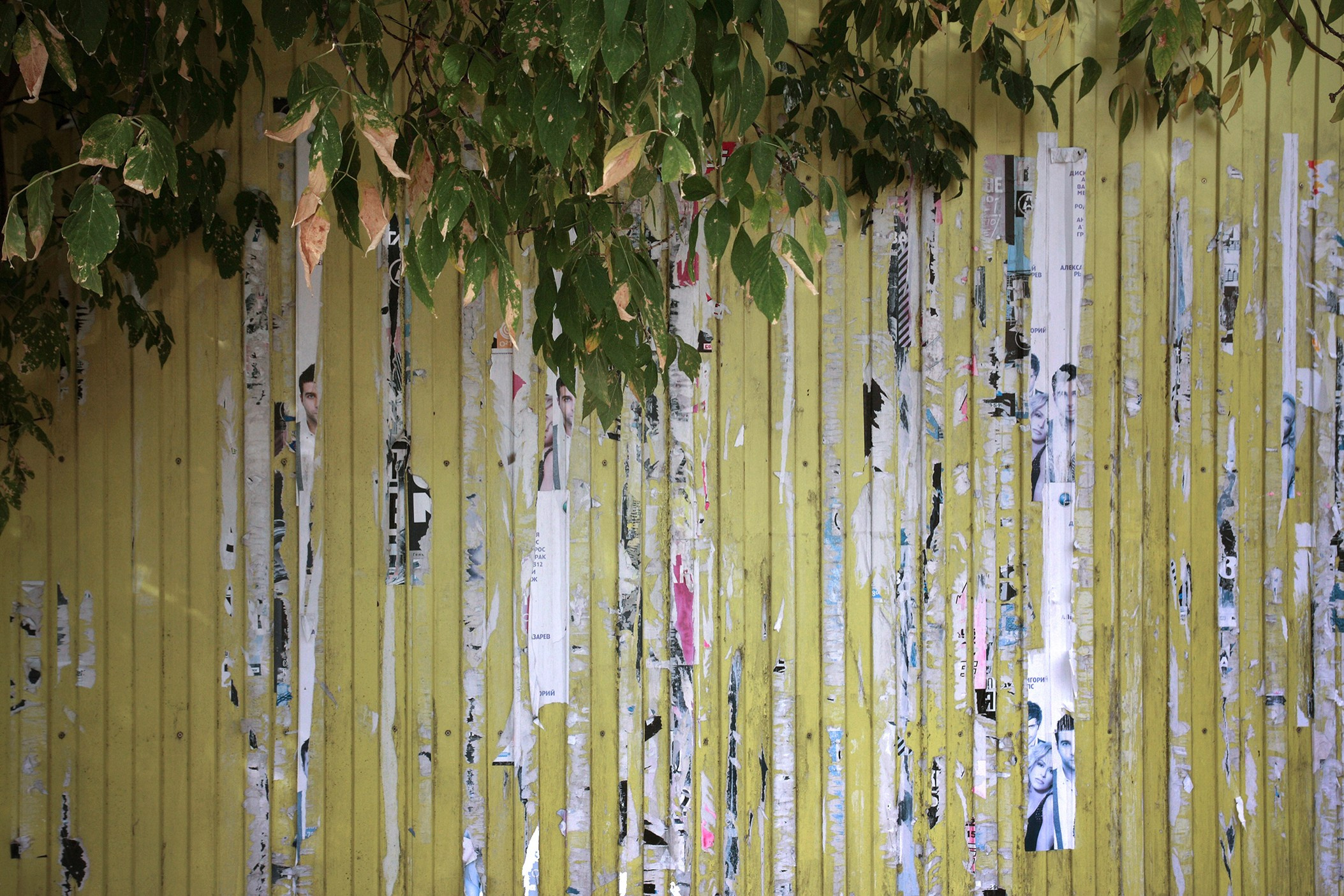 Симуляторы (Каталог № 1). Главная