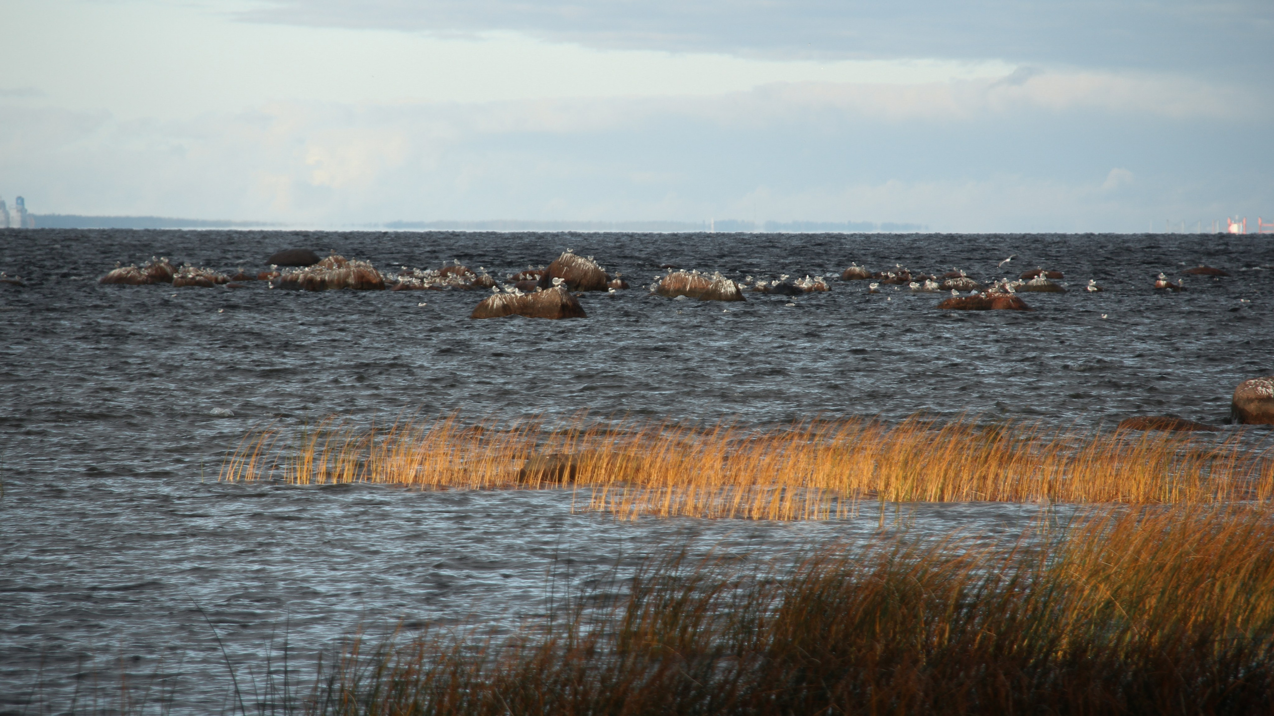 Андерсонград. Портретный фотограф DanilNabody