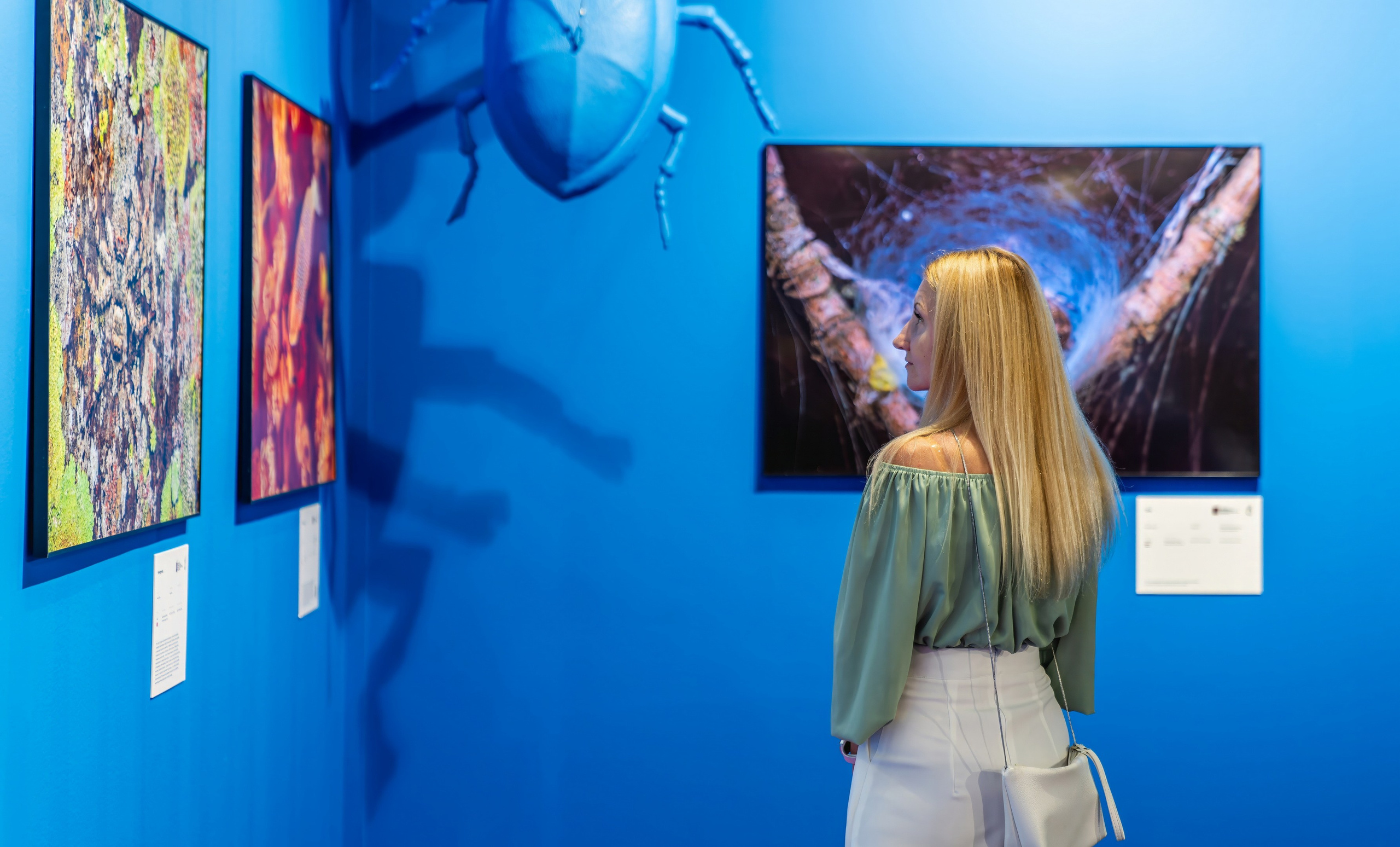 Золотая Черепаха 2024. Победа в спецноминации. Константин Дем | Фотограф