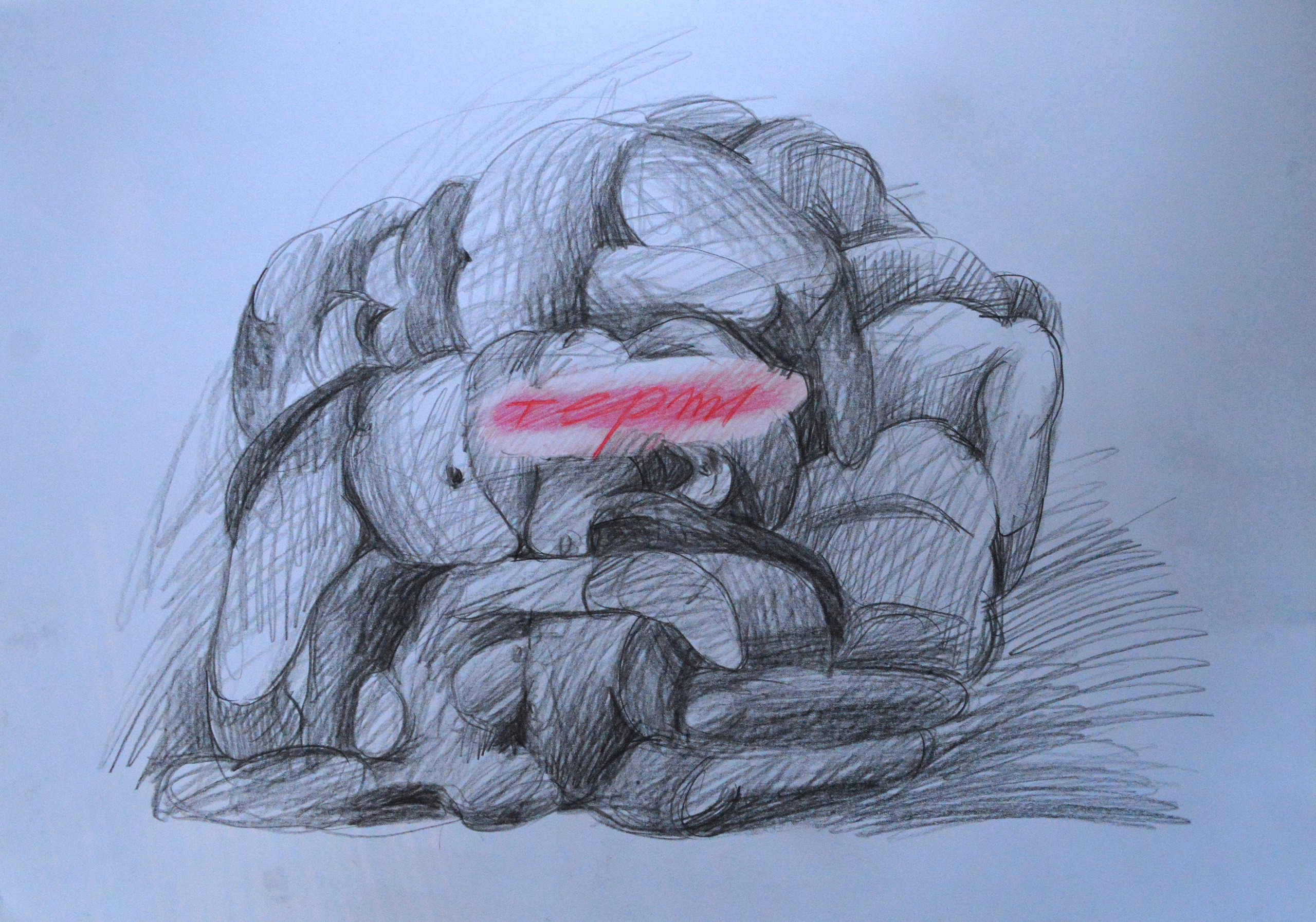 Серия «Туз инде. Тырыш инде.» 2025. Лилия Ким. Междисциплинарный художник