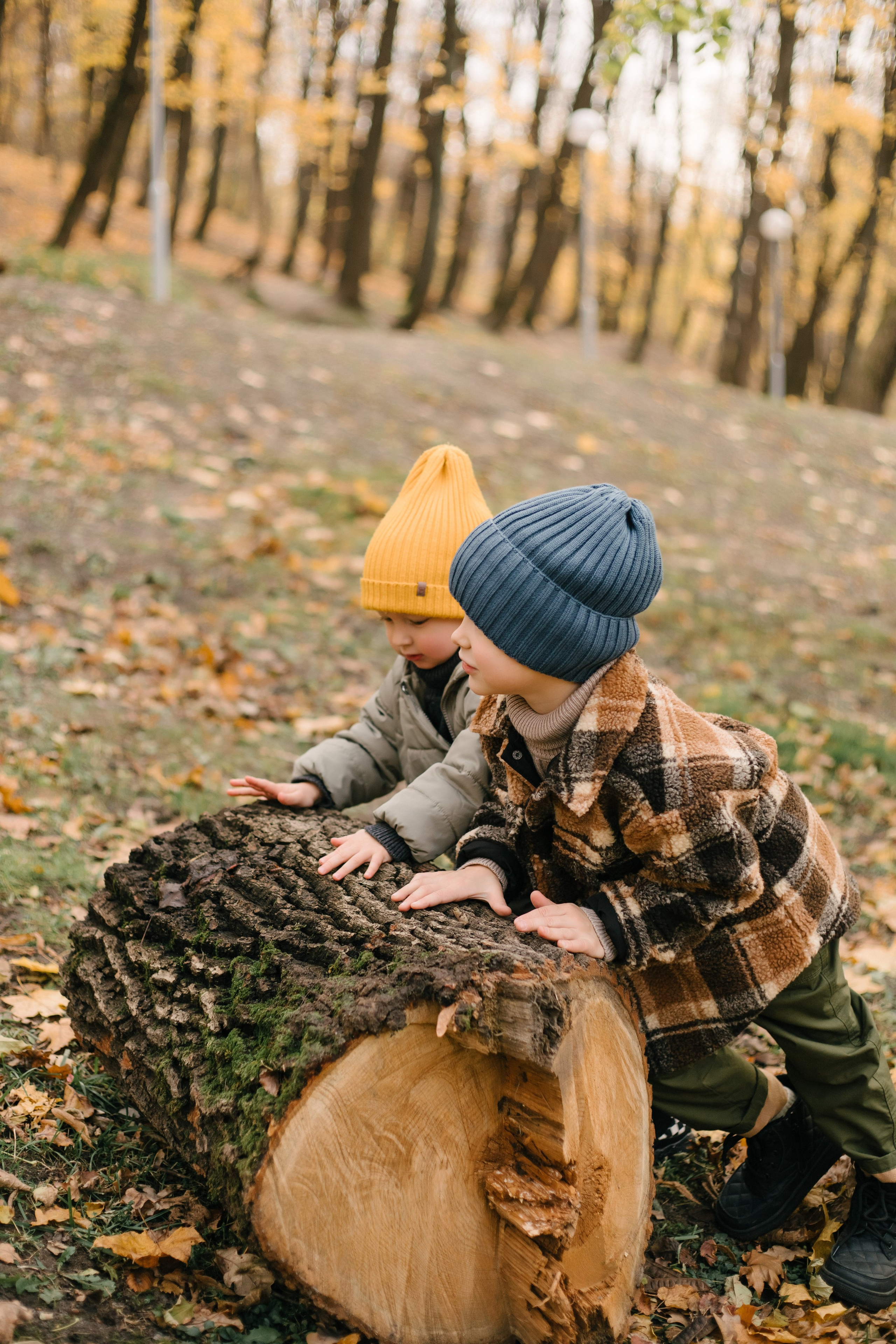 Карина, Марк и Гордей. Свадебный фотограф Москва Воронеж Ленкова Ксения
