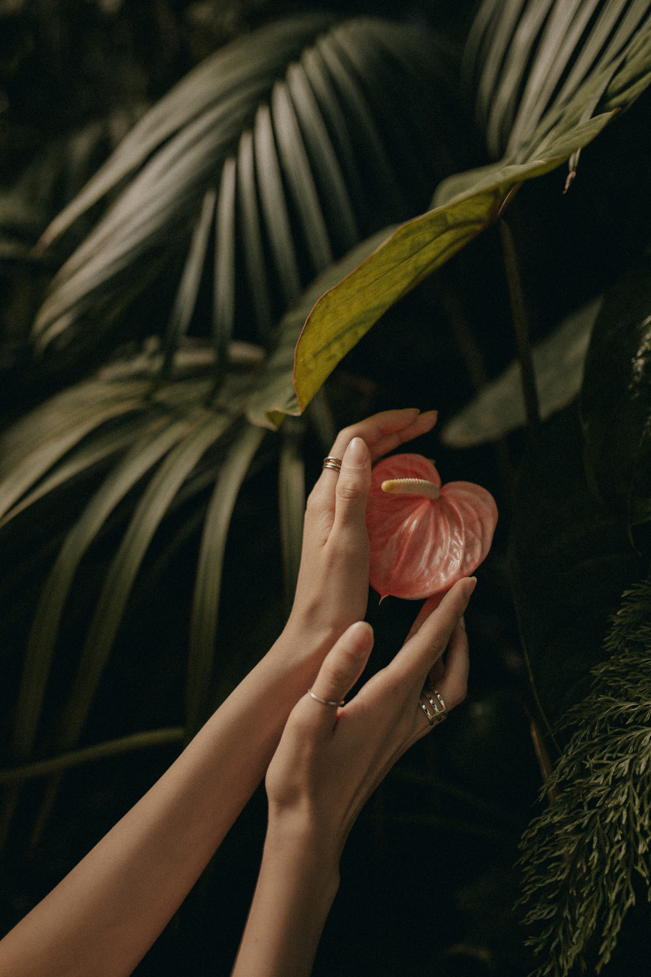 Maria. Контент-фотограф для брендов и личных блогов Полина Аверьянова