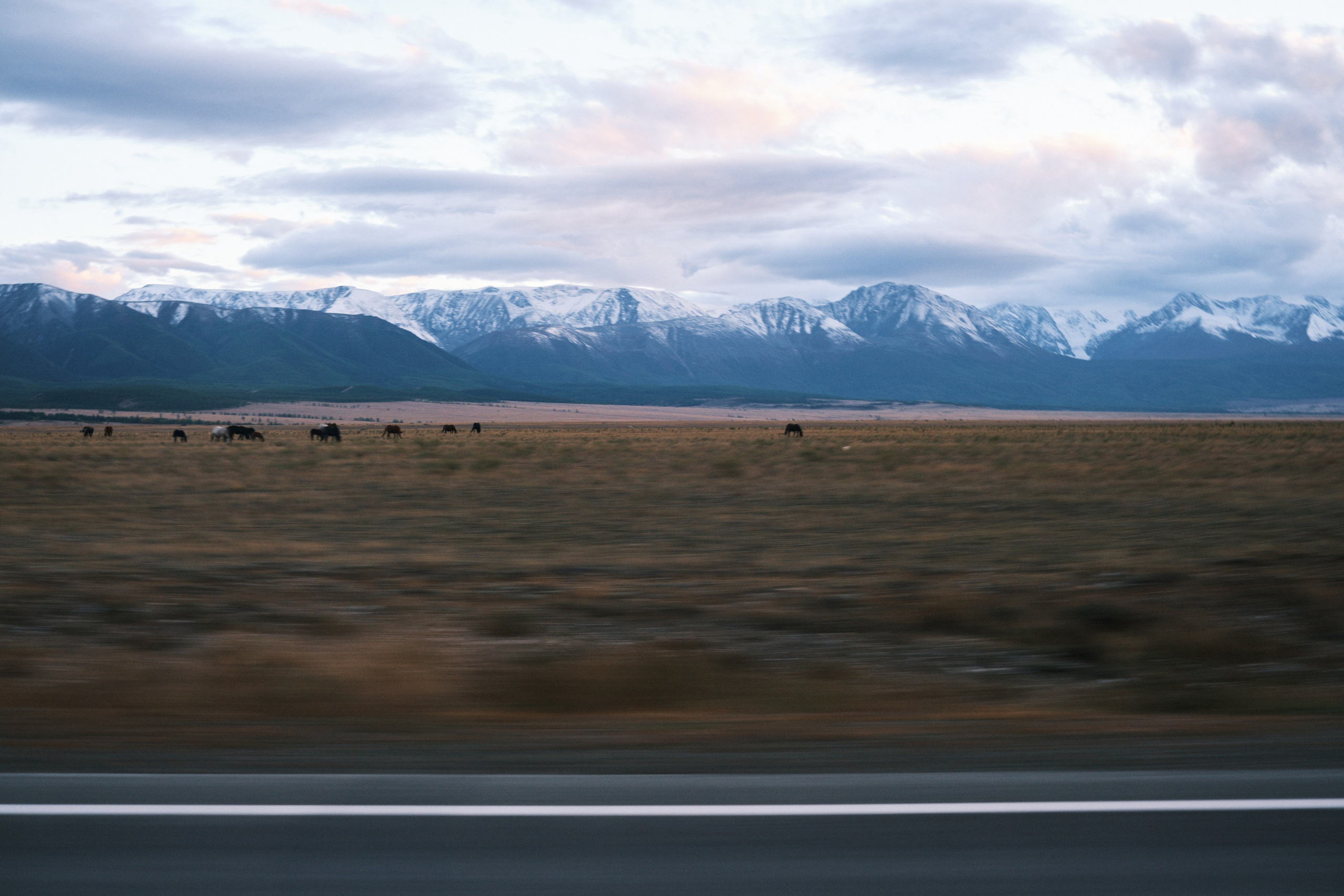 Природа. Антон Ив