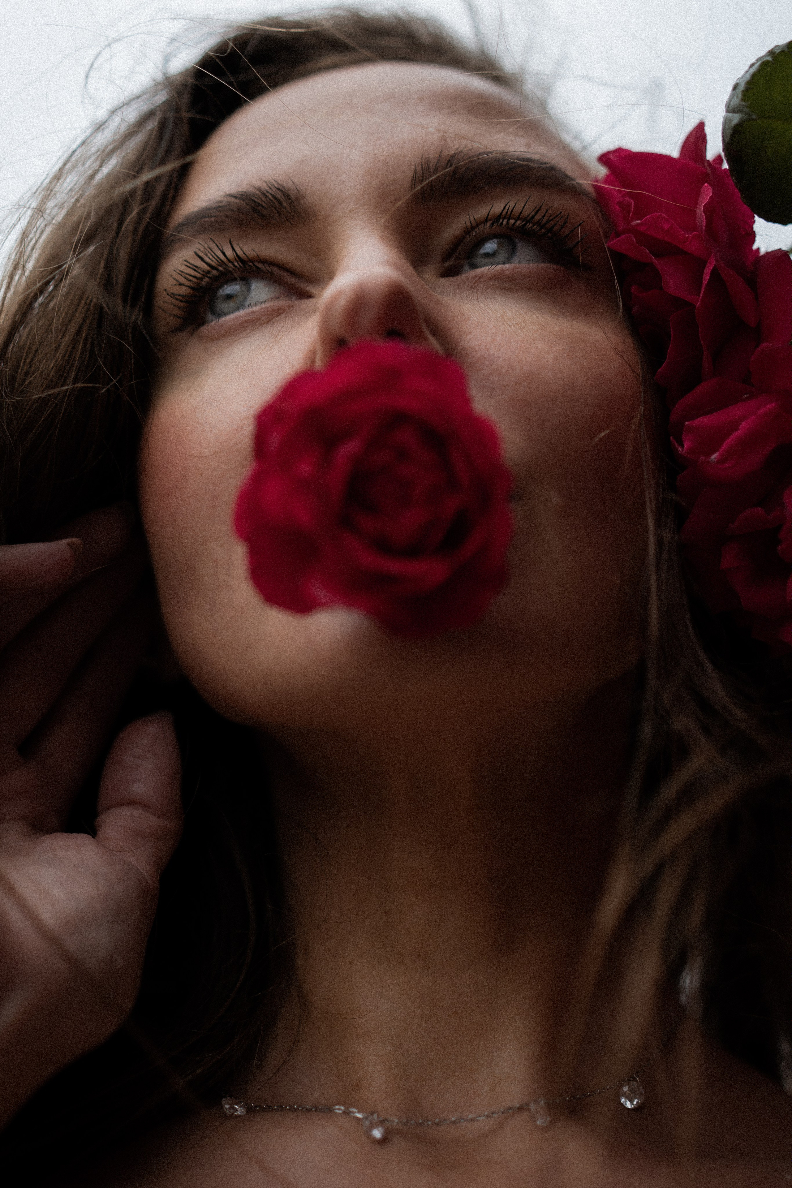 Лена розы. Дмитриева Светлана женский и семейный фотограф Рига, Москва, Геленджик