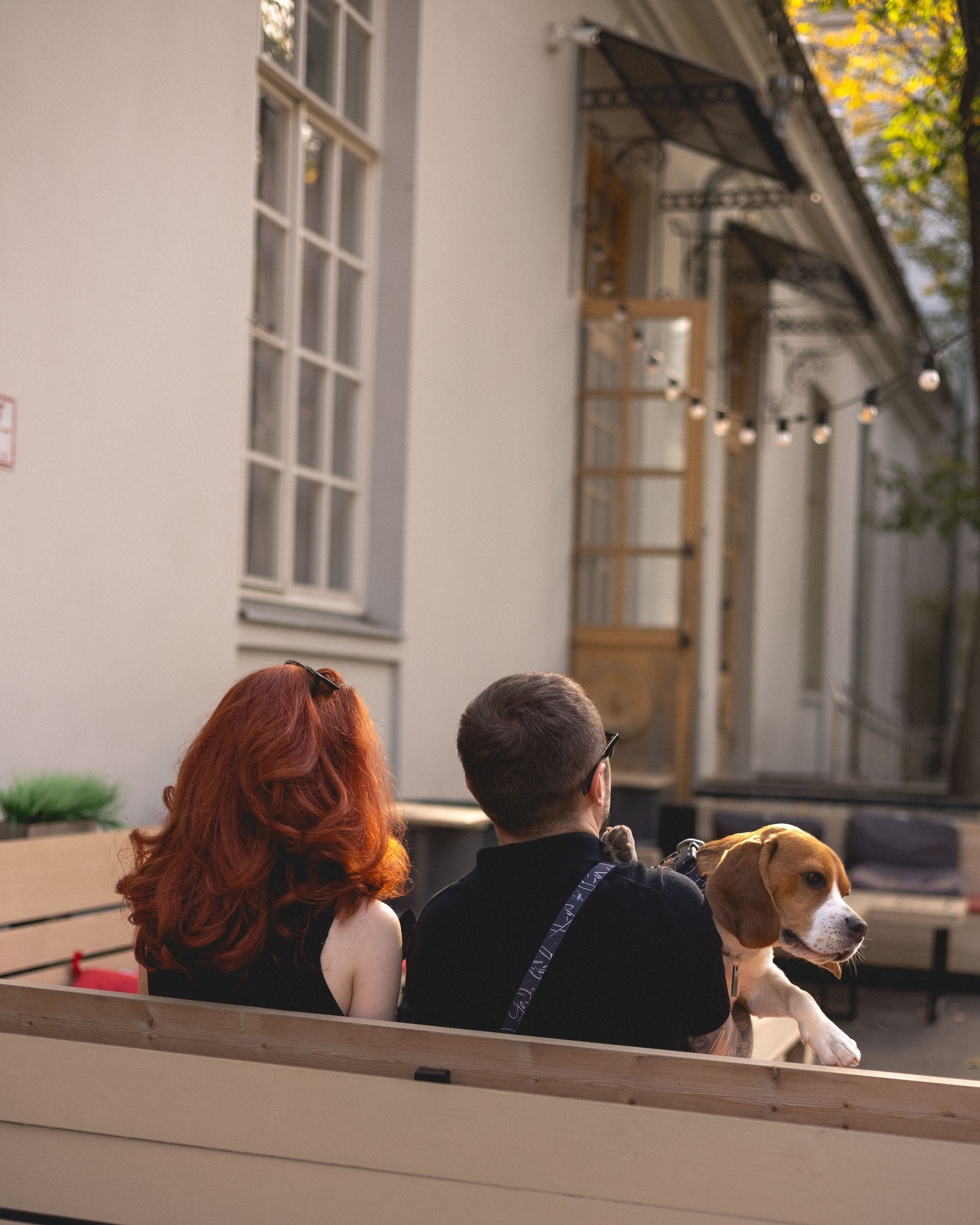 Вика & Давид. Фотограф Москва