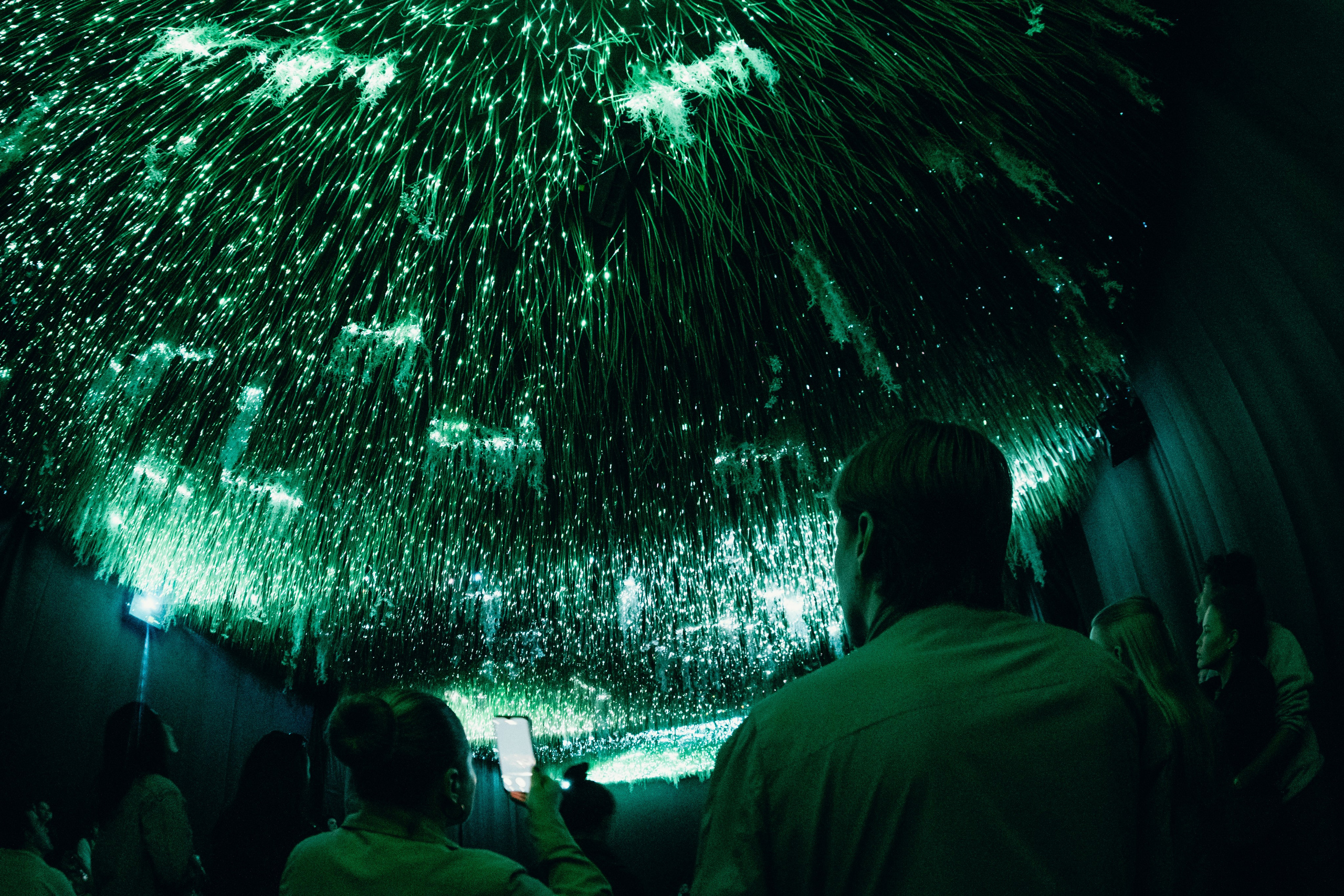 NUR 2024. Главная