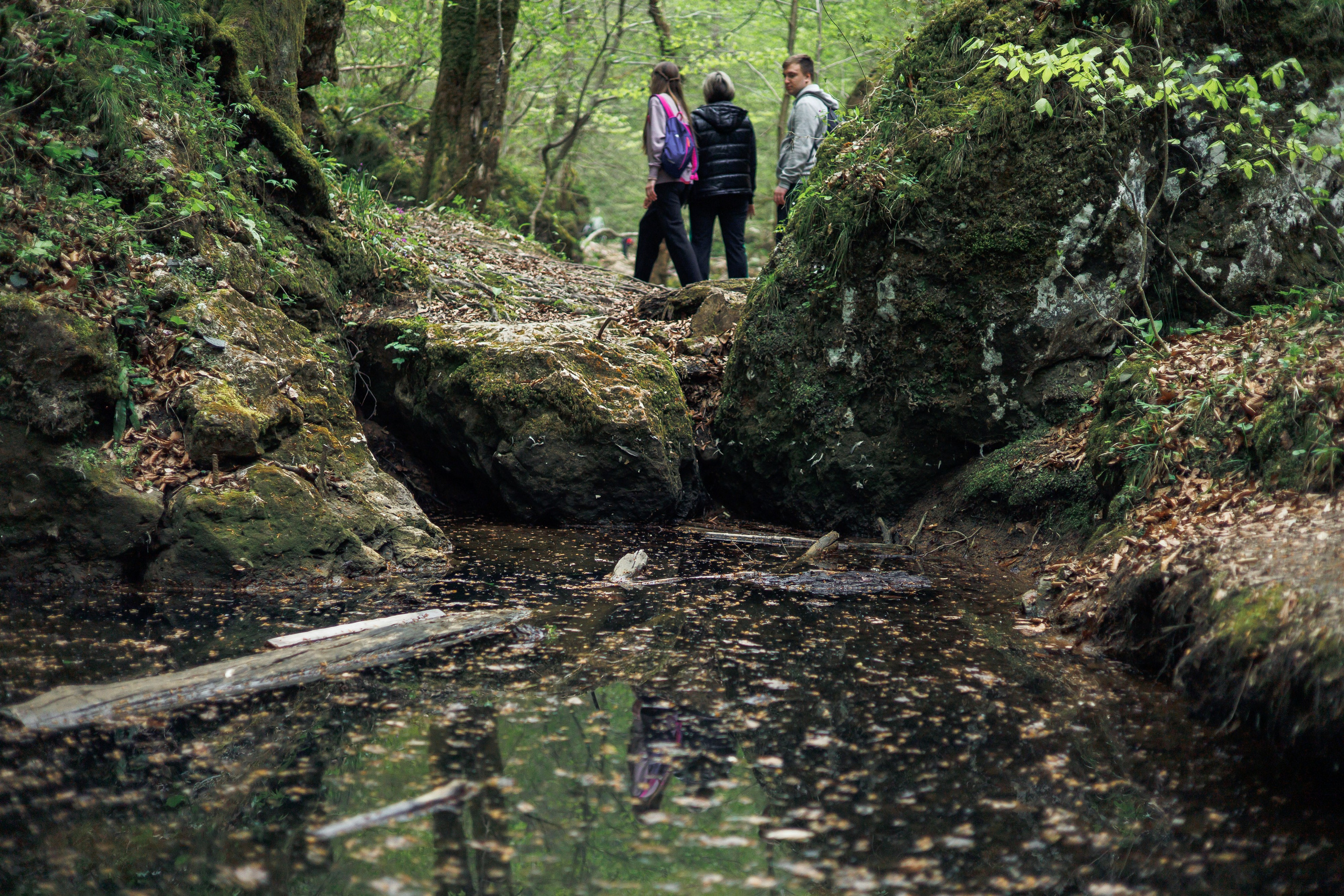 Адыгея. Водопады Руфабго 13.04.24. Фотограф katya_vkadre Таганрог