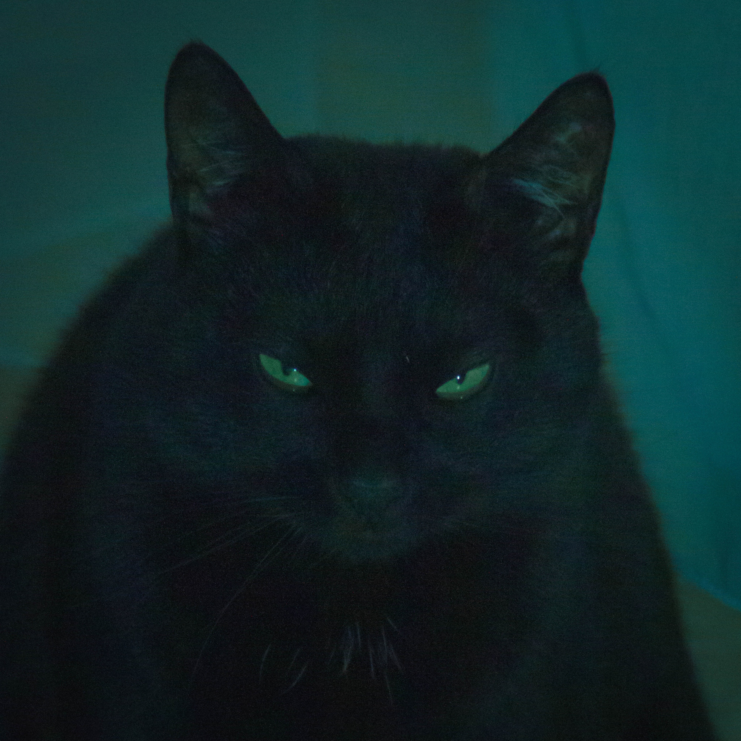 «Без названия»