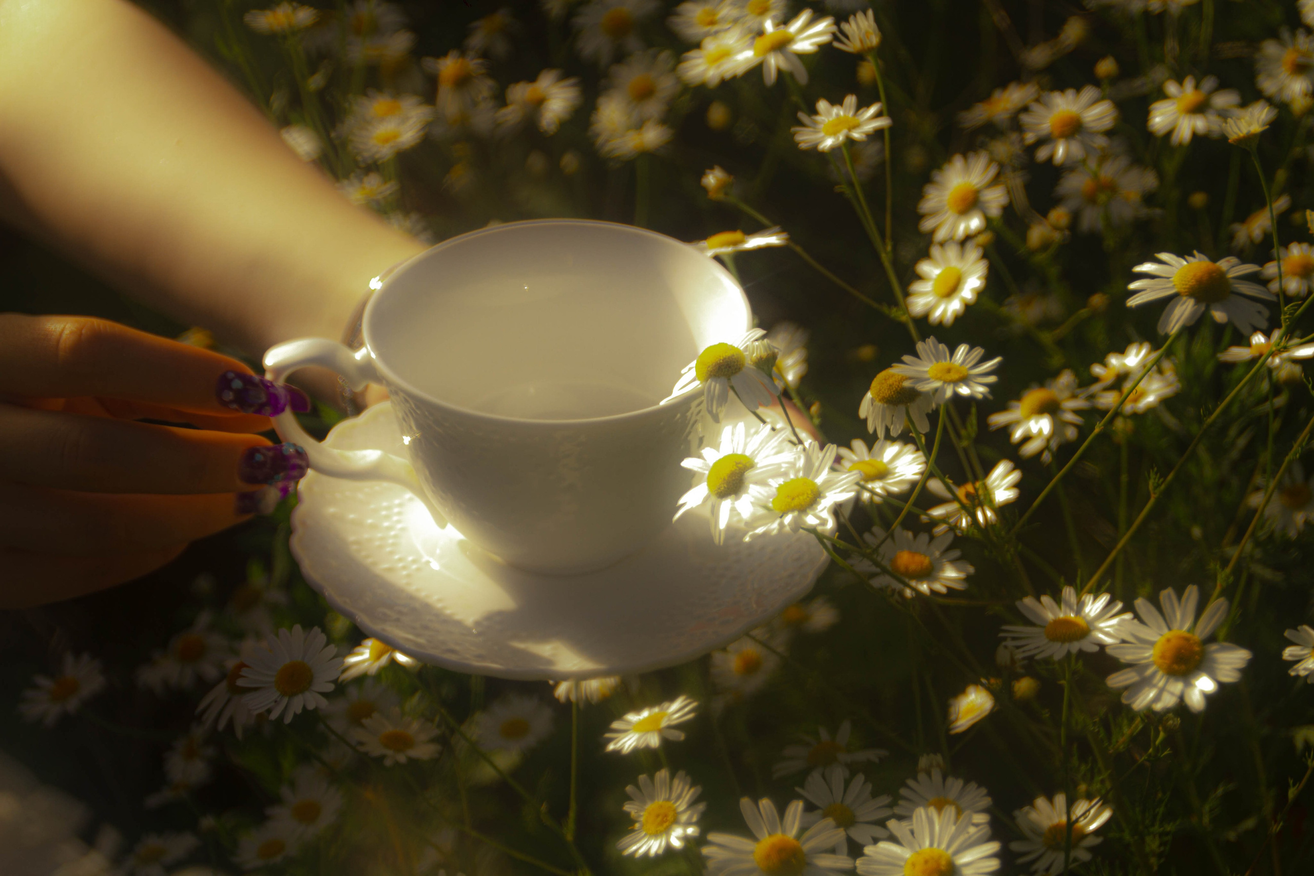 Ностальгия