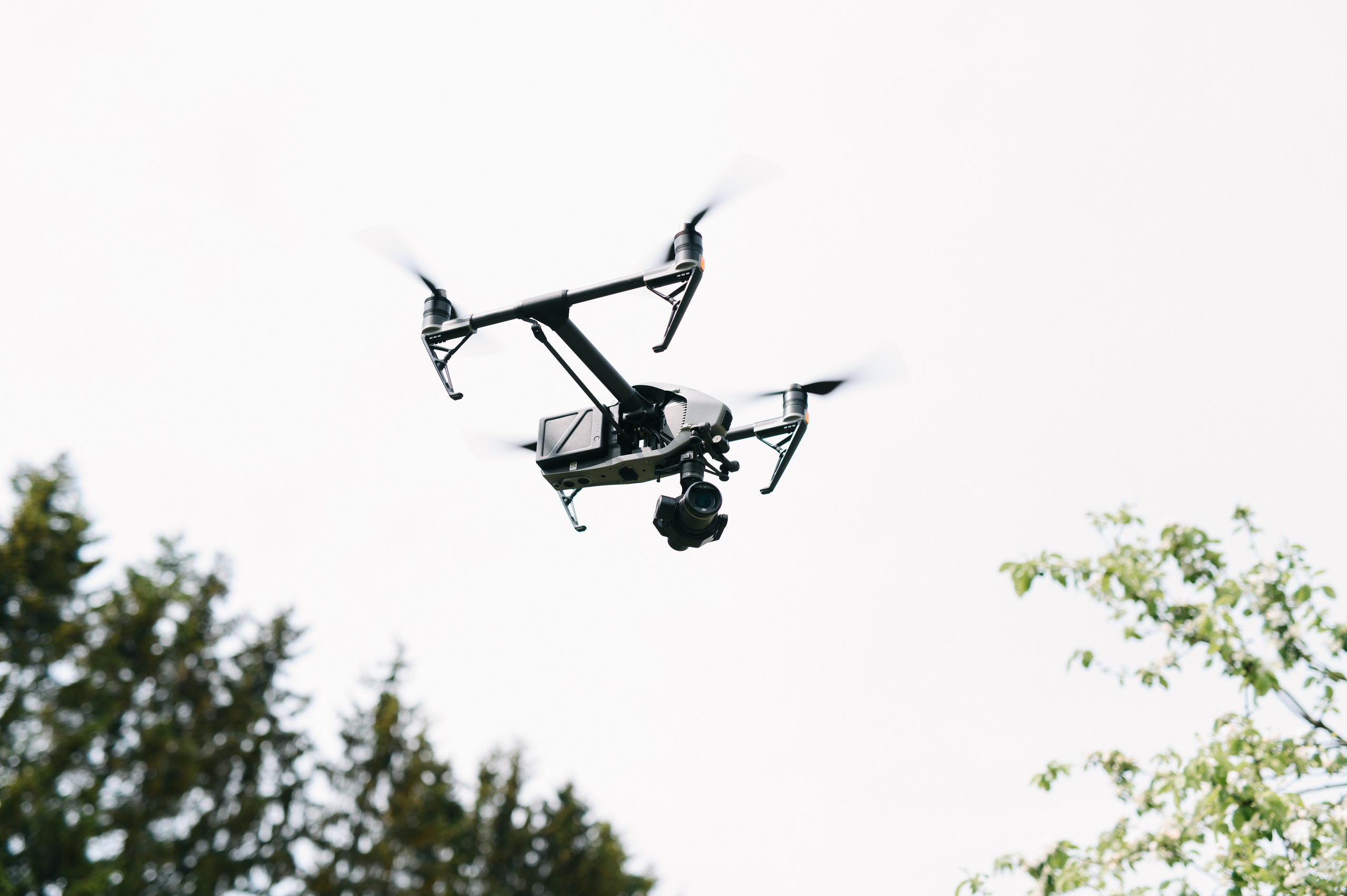 Видеография. Профессиональный фотограф и видеограф в Сортавала Ася Легконогова