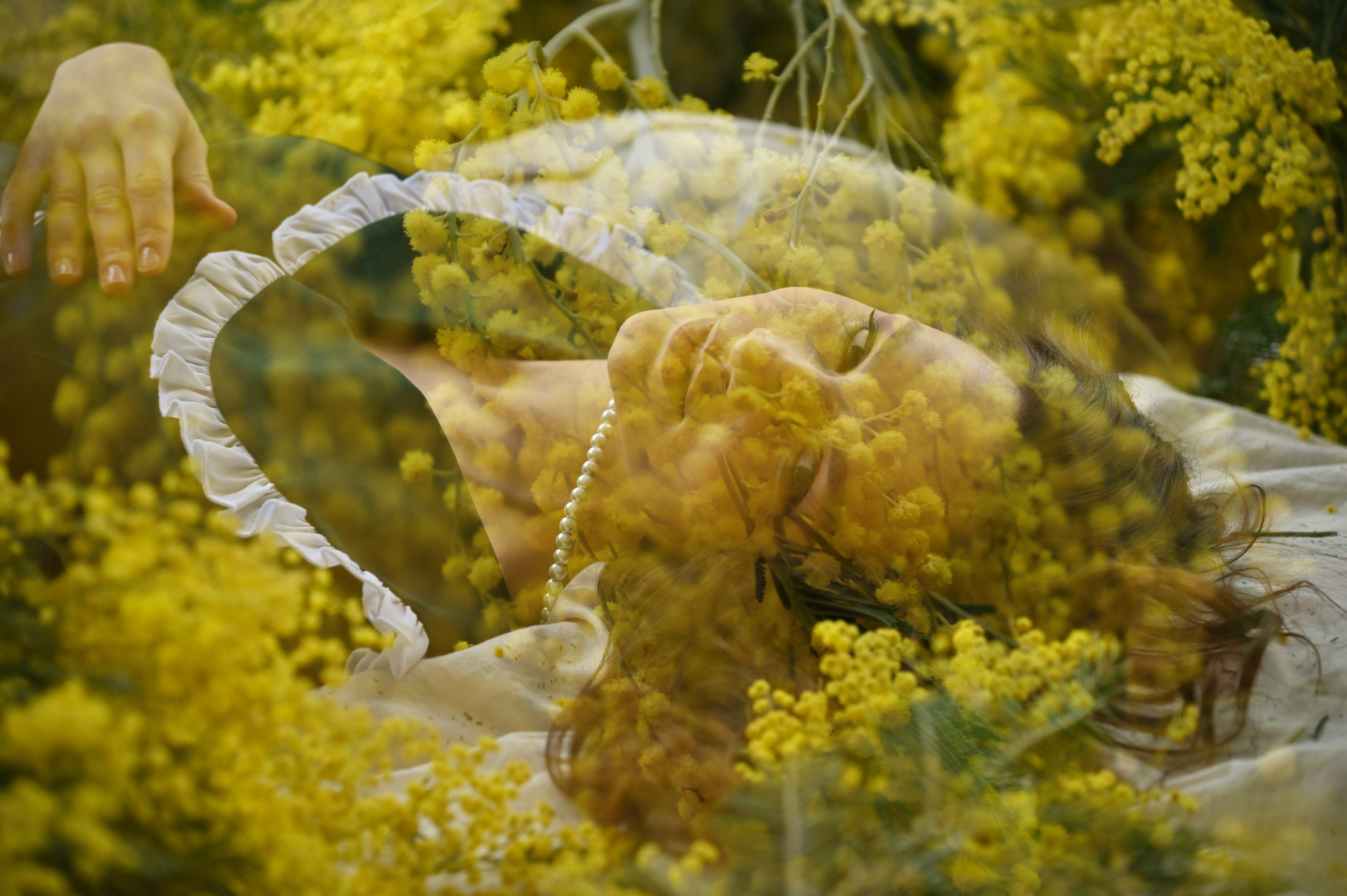 Анастасия. Фотограф в Санкт-Петербурге Ковалева Елизавета