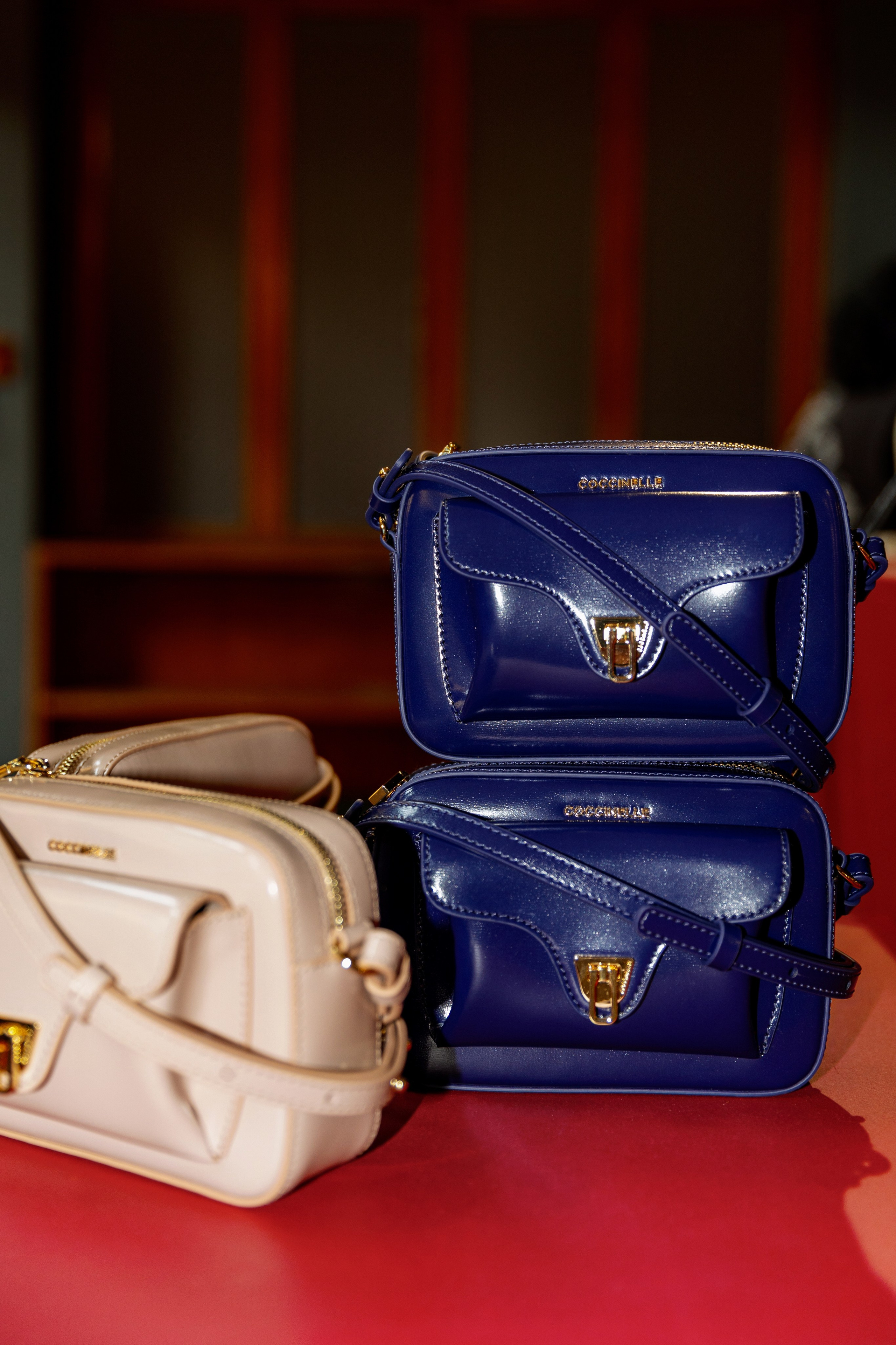 COCCINELLE. Photographer in Milan Ivan Goncharov