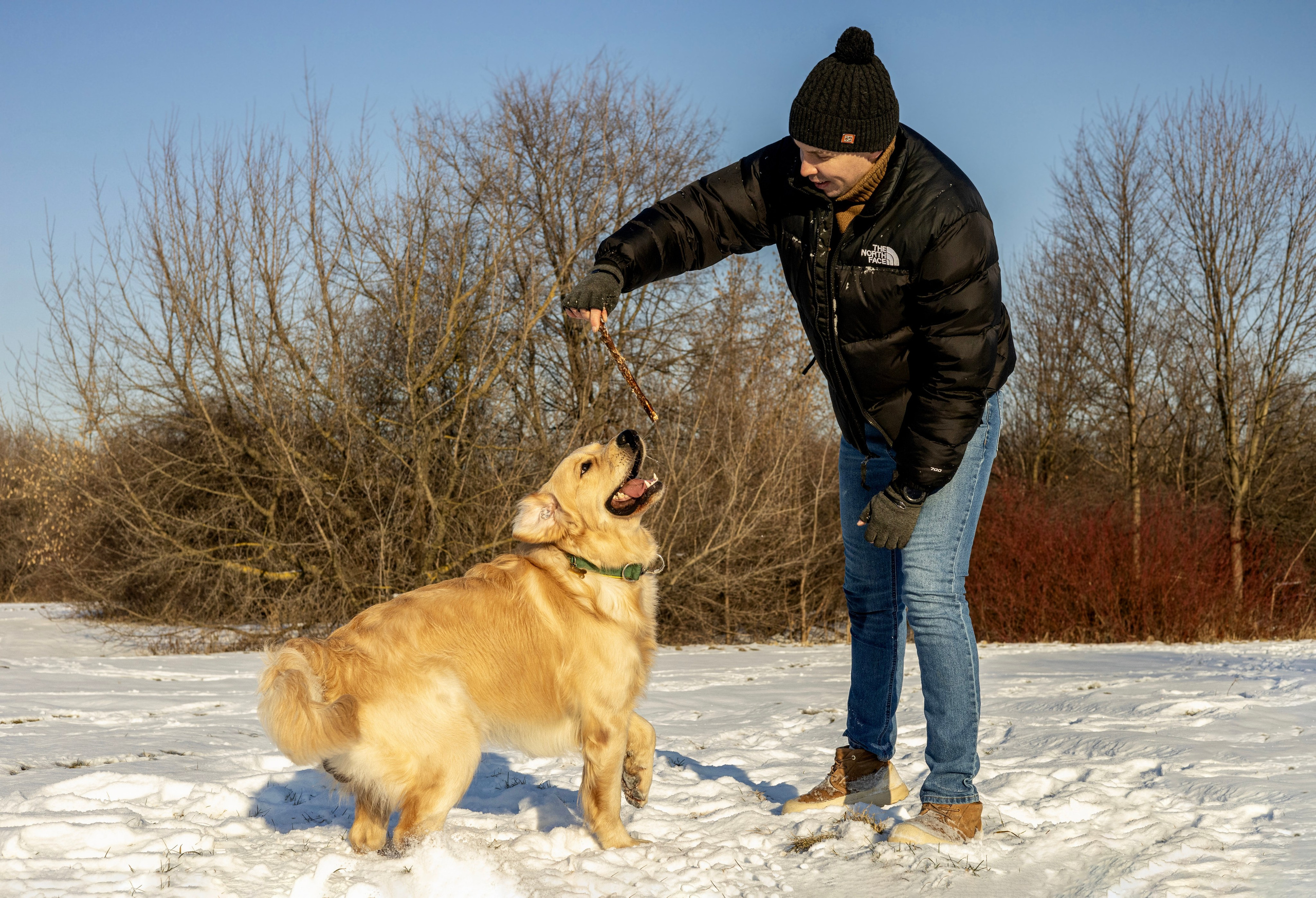 Ларри и его семья. Фотограф-анималист Ксения Шевцова|Москва