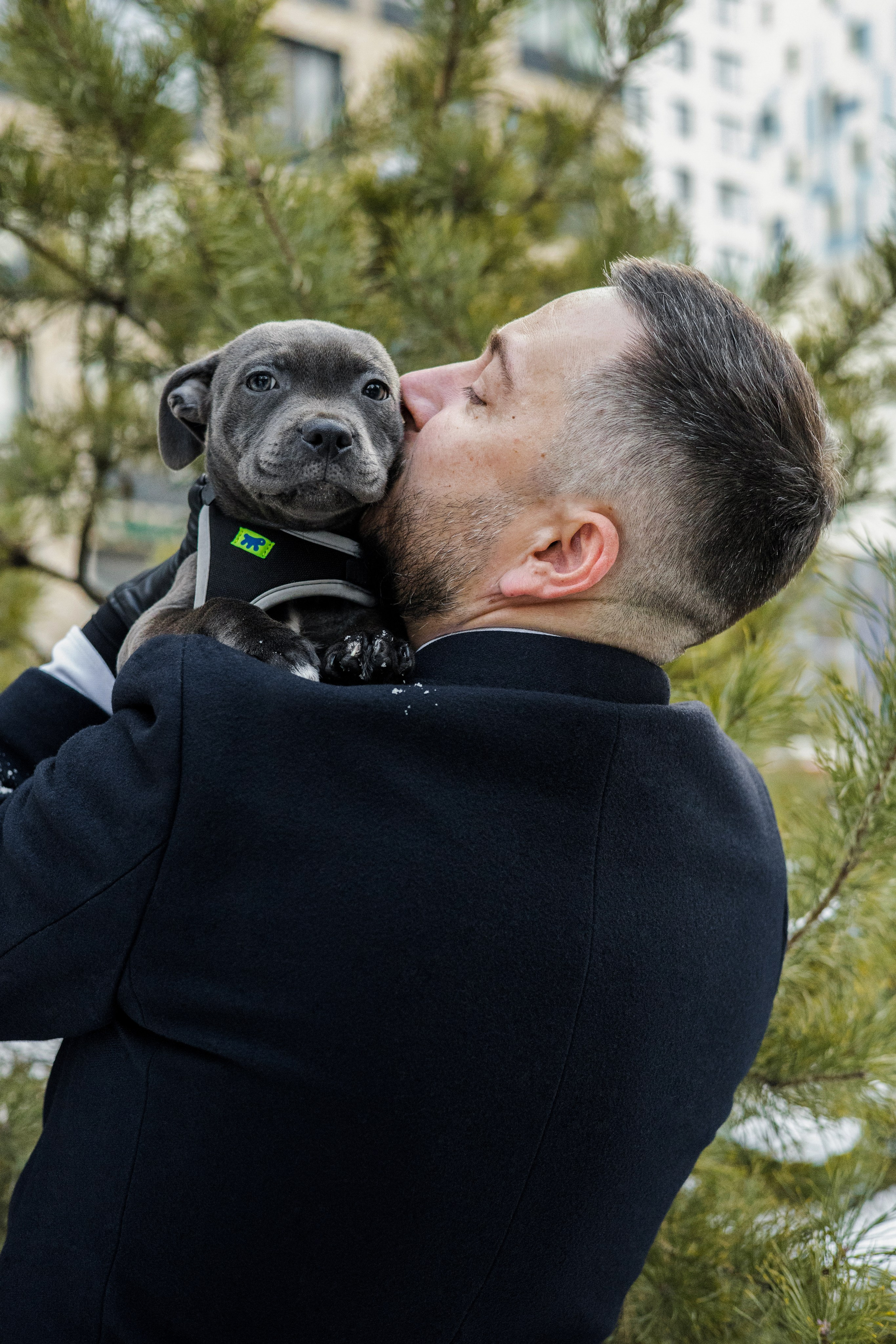 Дарси, Тимур и Юля. Фотограф-анималист Ксения Шевцова|Москва