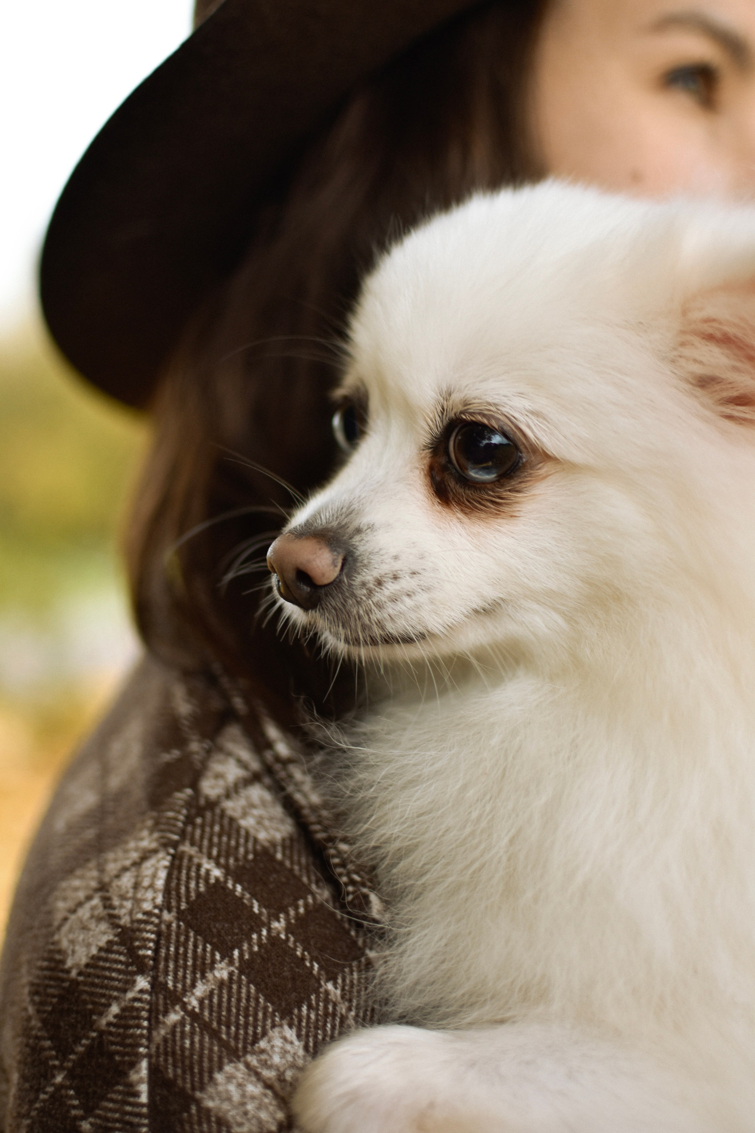 Анабель и Саша. Фотограф-анималист Ксения Шевцова|Москва