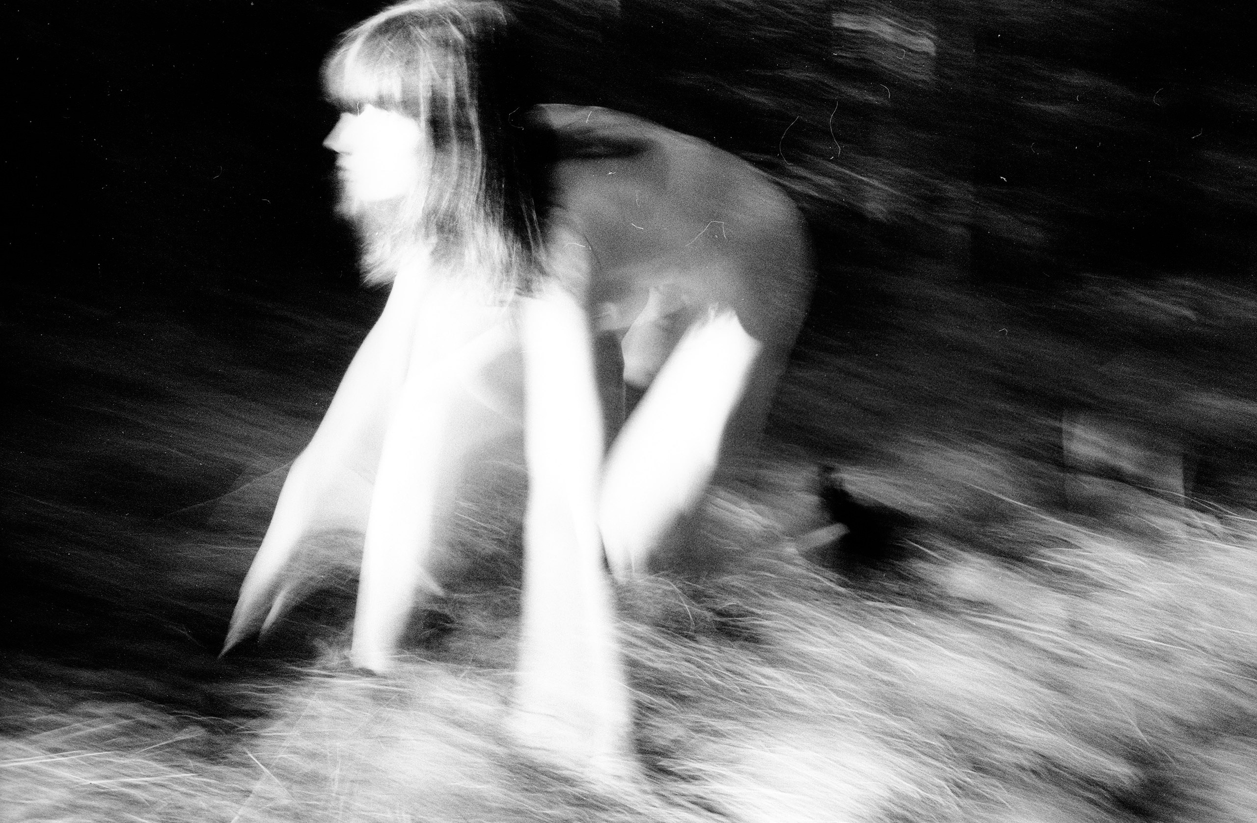 Лесная серия. Kirill Gribov