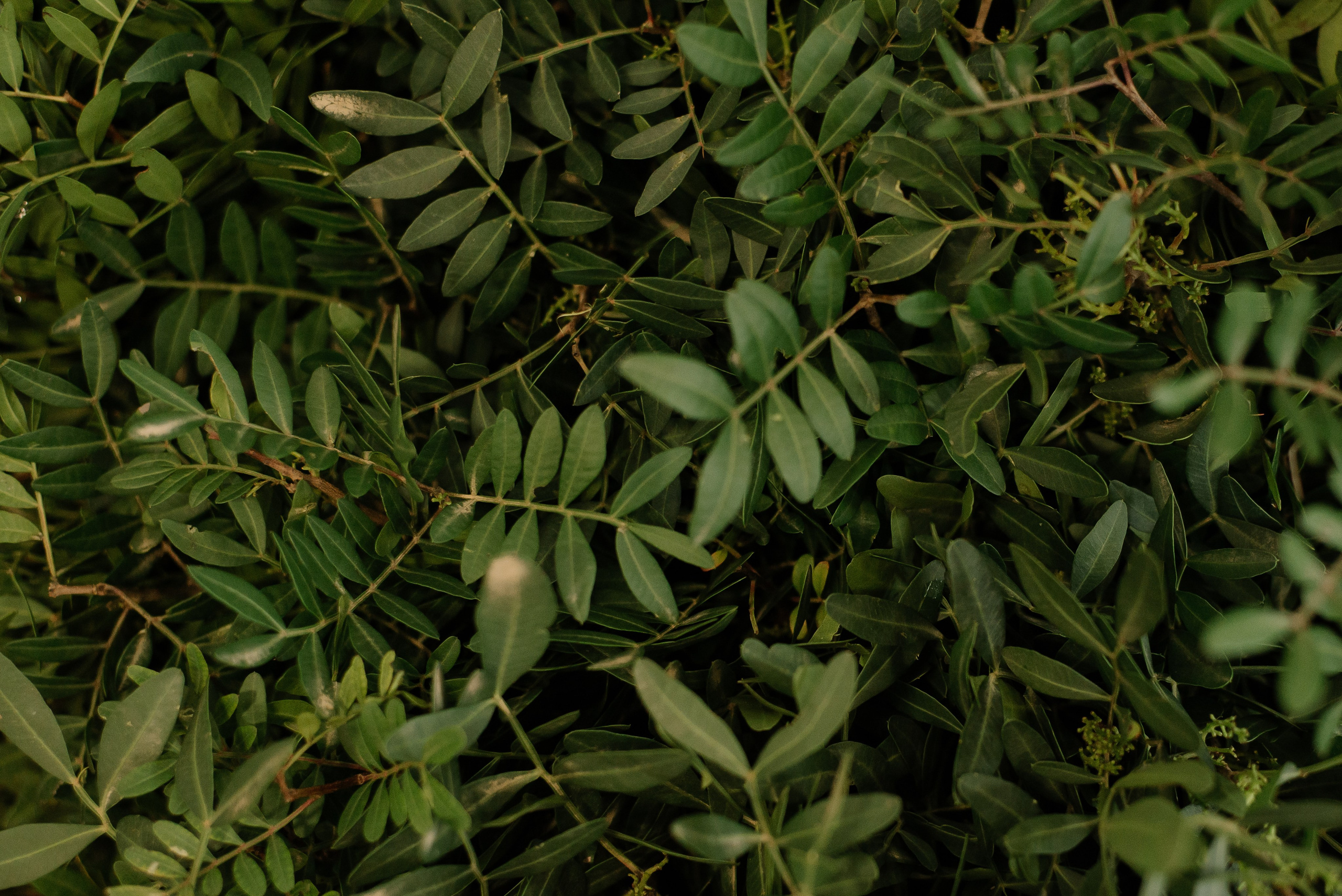 Garden Street. Портретный фотограф Ксения Люндовская