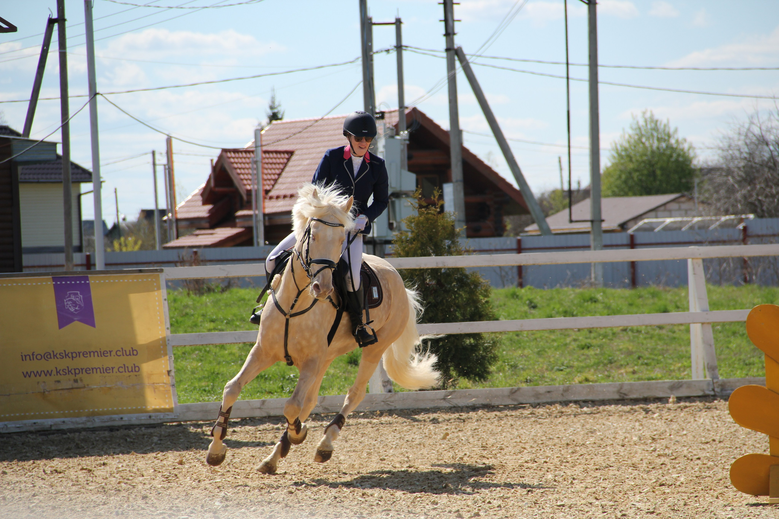 Соревнования. Фотосессии с лошадьми в Москве и МО