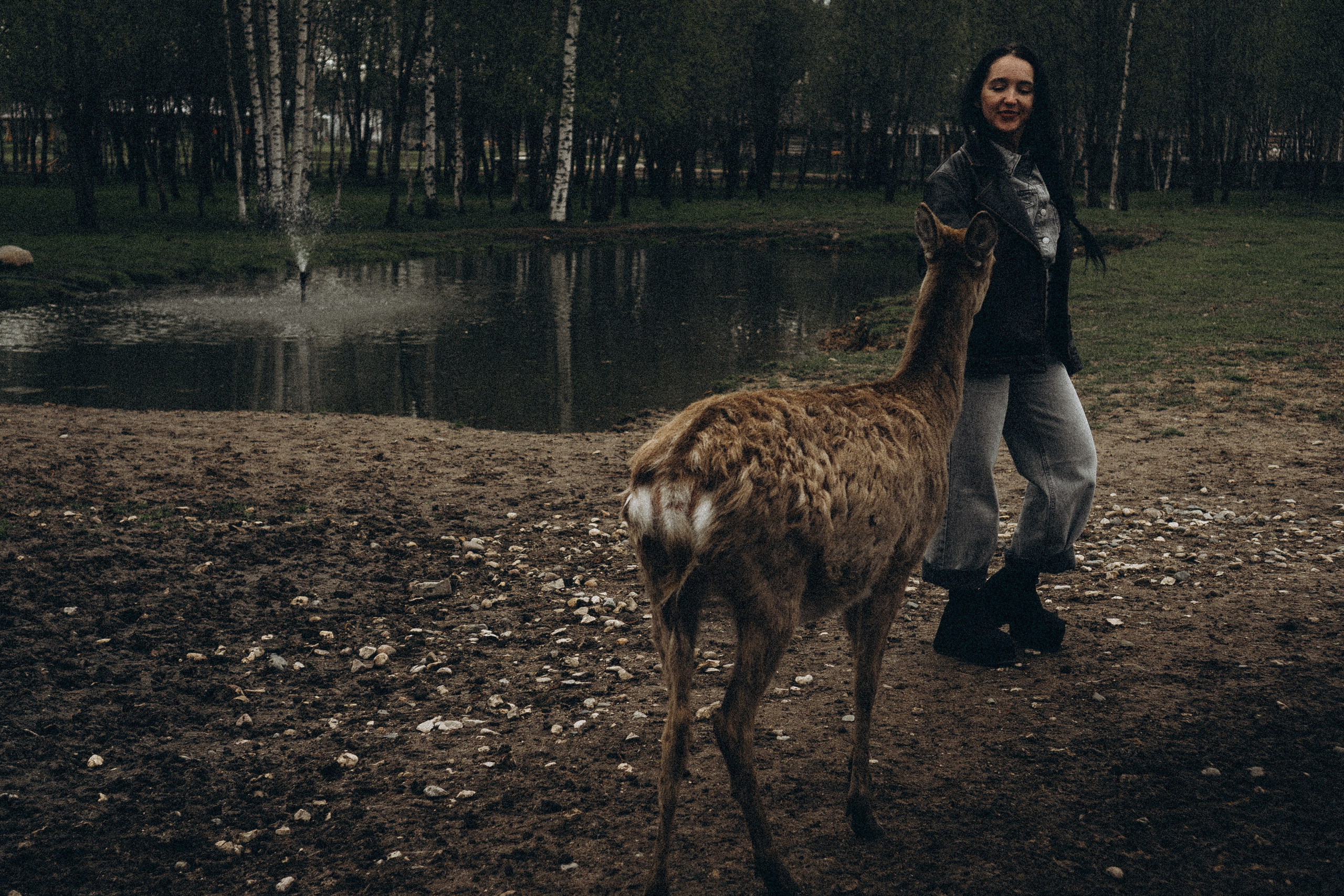 ОЛЕНЬЯ ФЕРМА В ТВЕРИ. Профессиональный фотограф, Санкт-Петербург — Виктория Богомолова