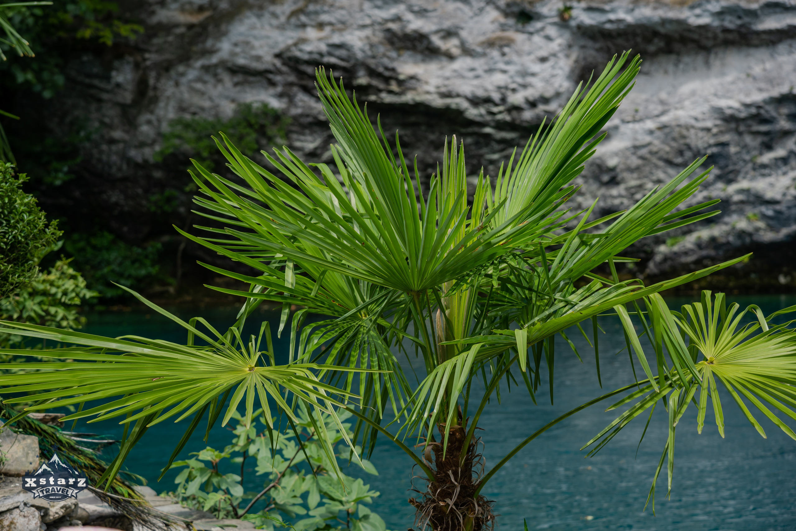 Тур в Абхазию. Фотограф Галина Нестерова