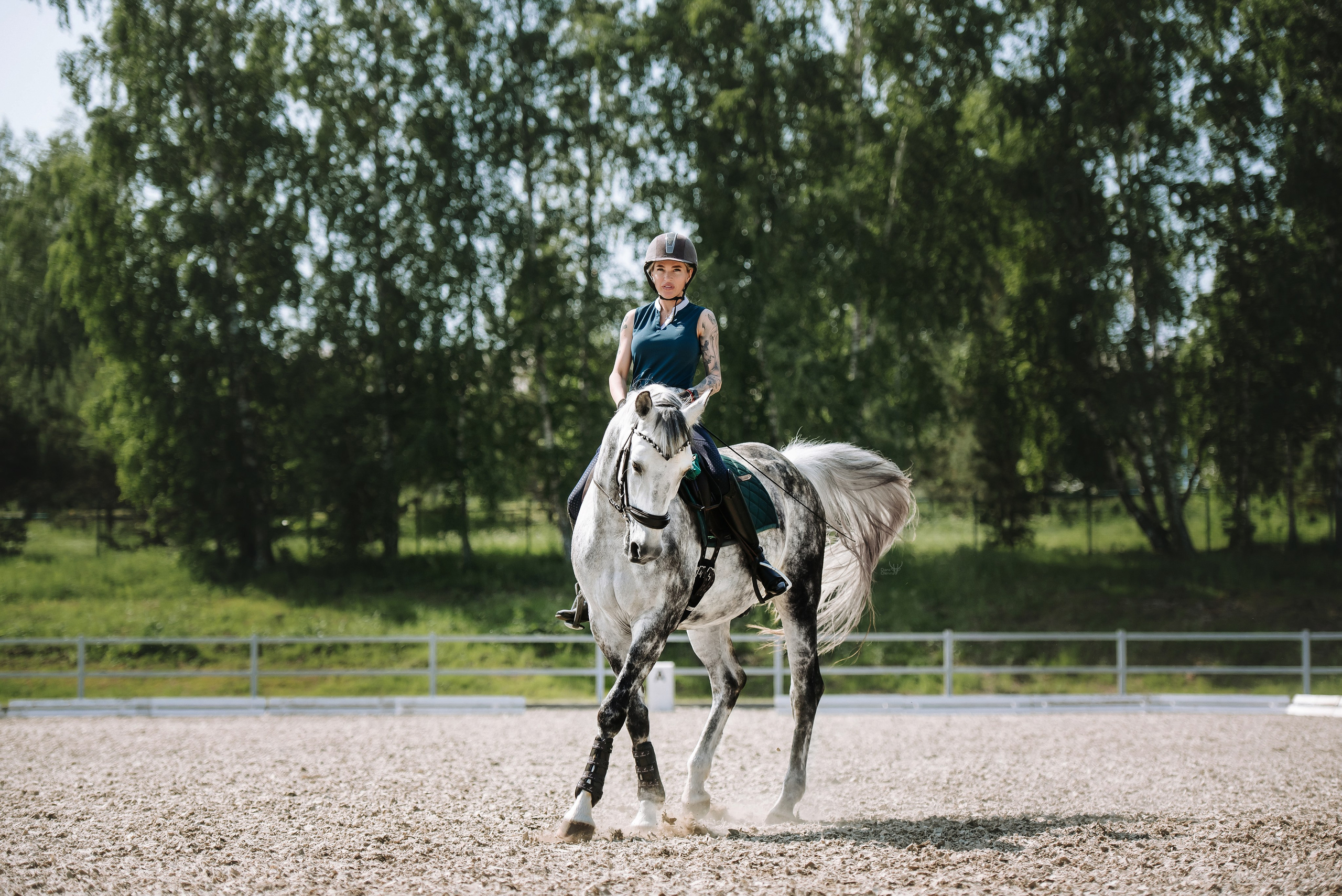 Фотосессия с лошадью Красноярск. Фотограф Диана Оленина Красноярск / Братск