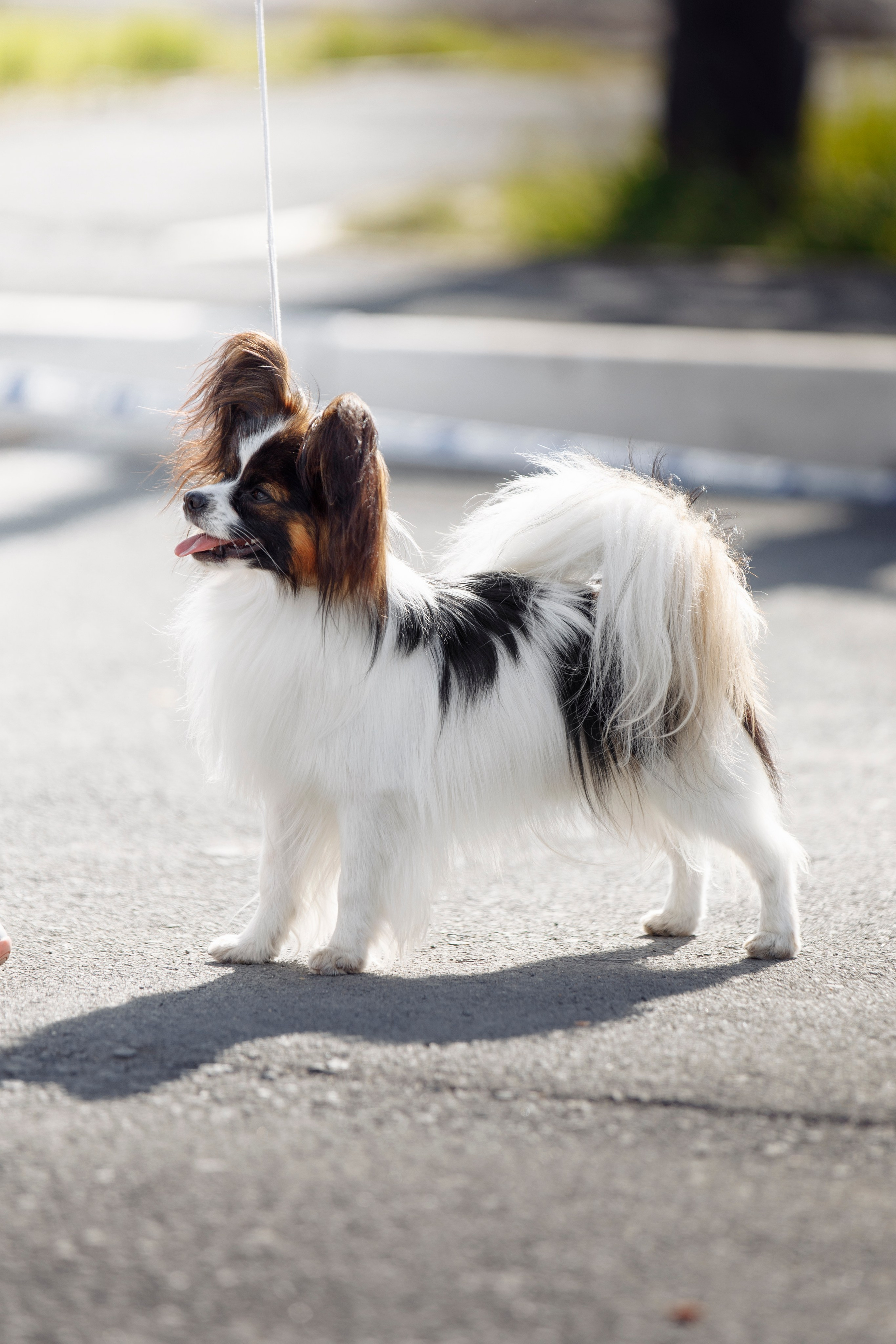Далекий привет из Новотроицка. О нас