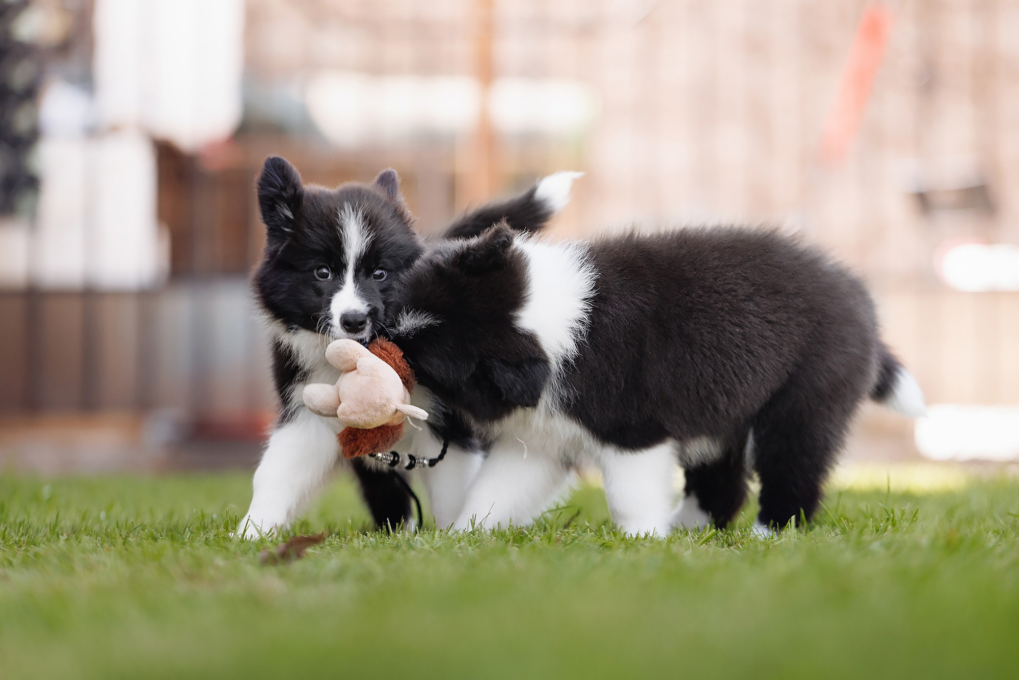 Трава у дома. О нас
