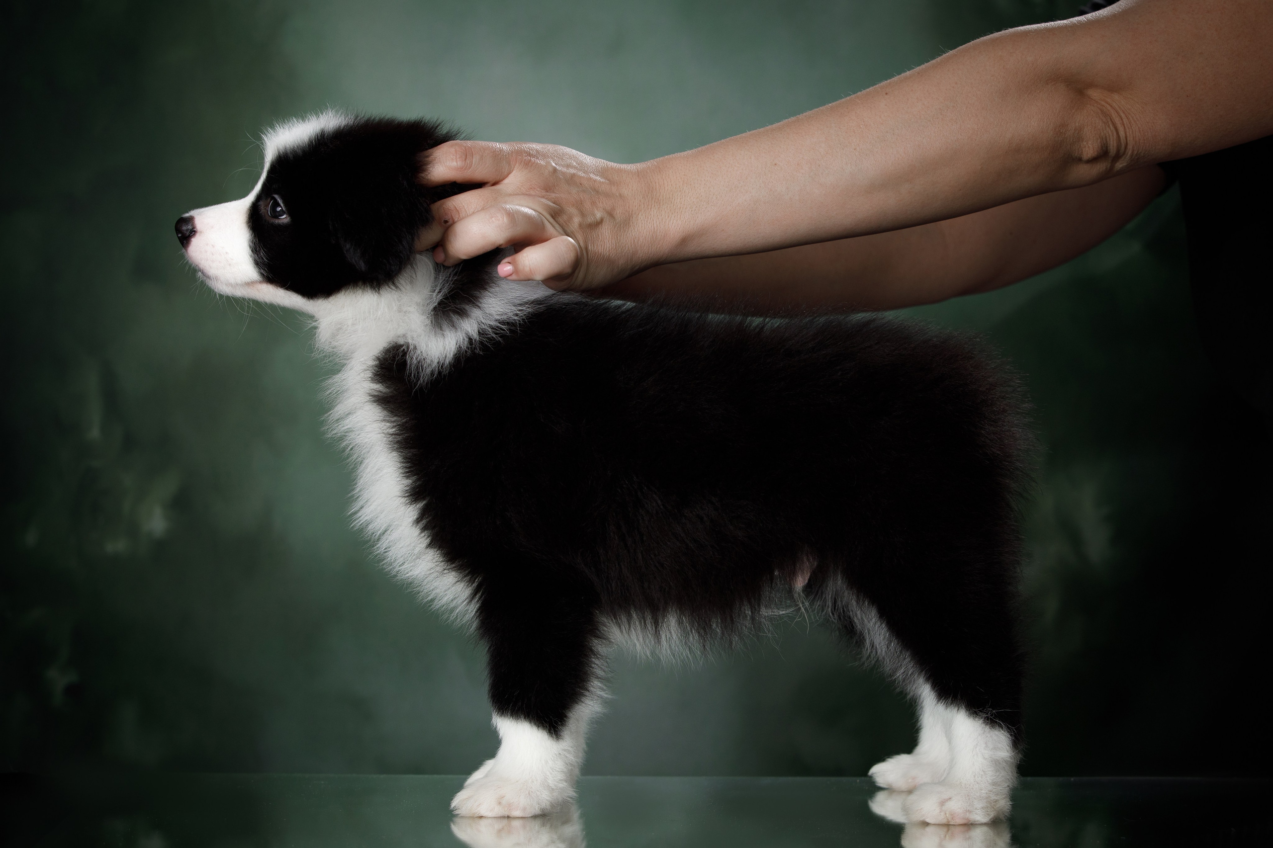 Март. Весна. 22. О нас